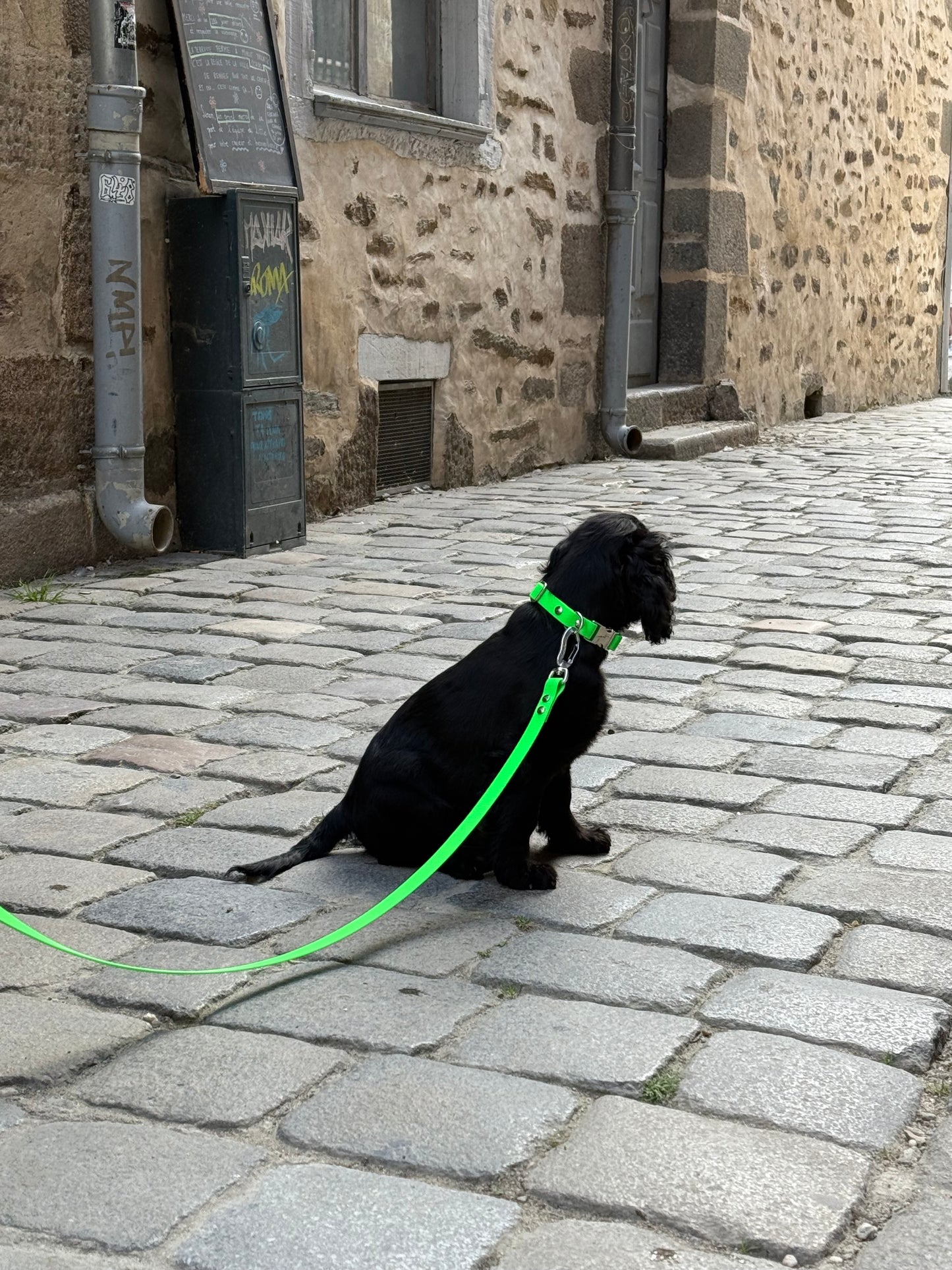 Collier clip waterproof 💦