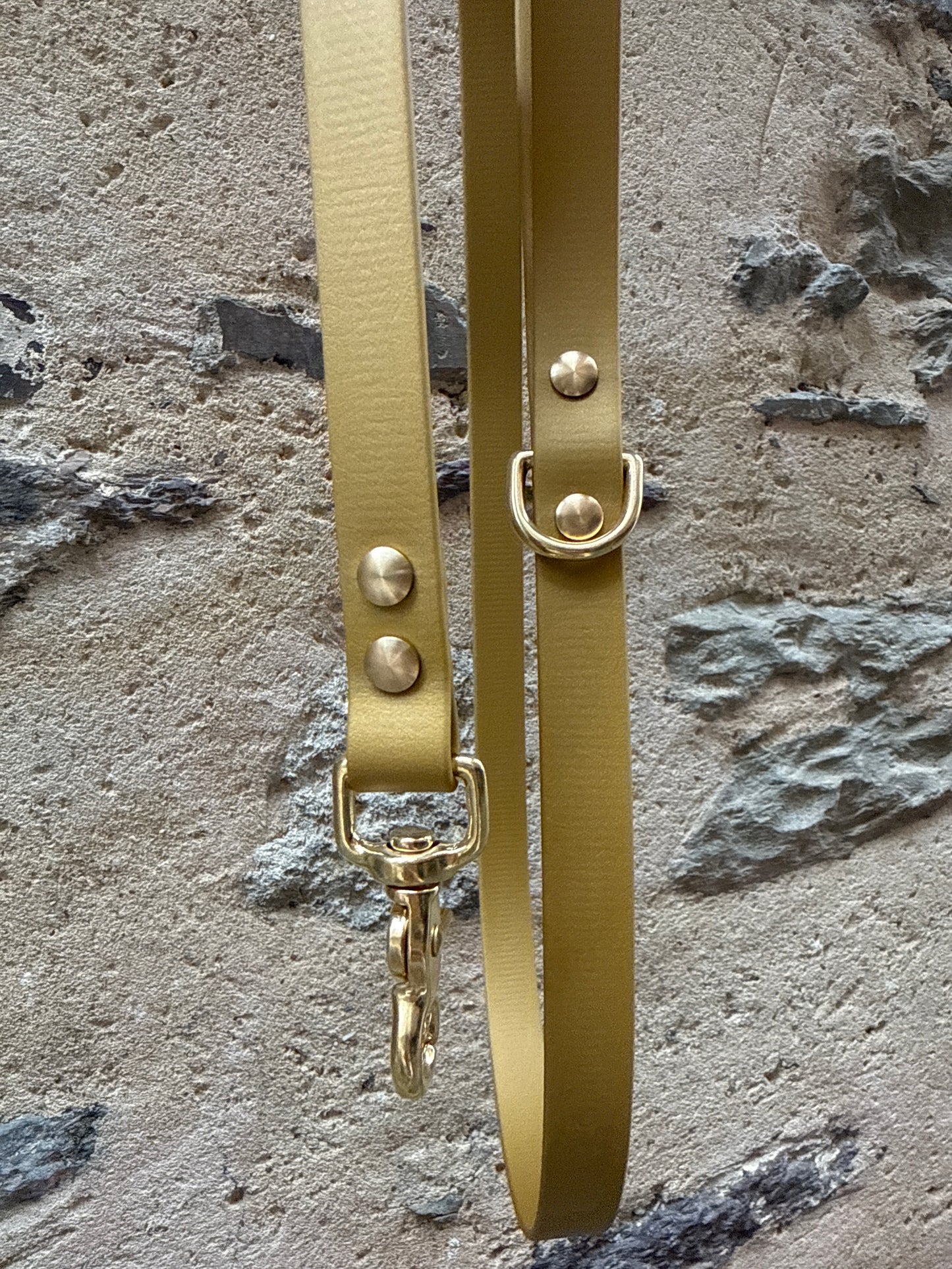 Laisse Essentielle - Edition Gold