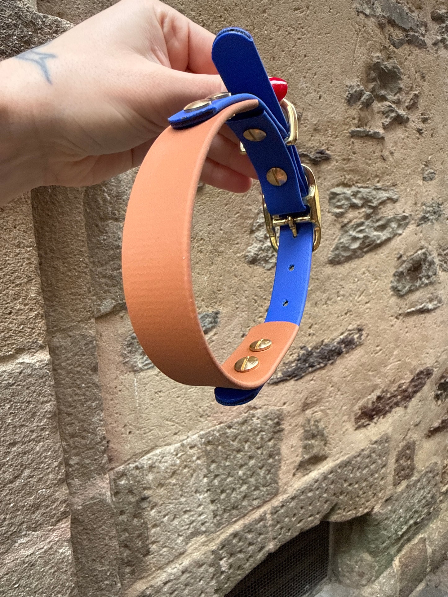 Collier Biothane - Camel & Bleu roi