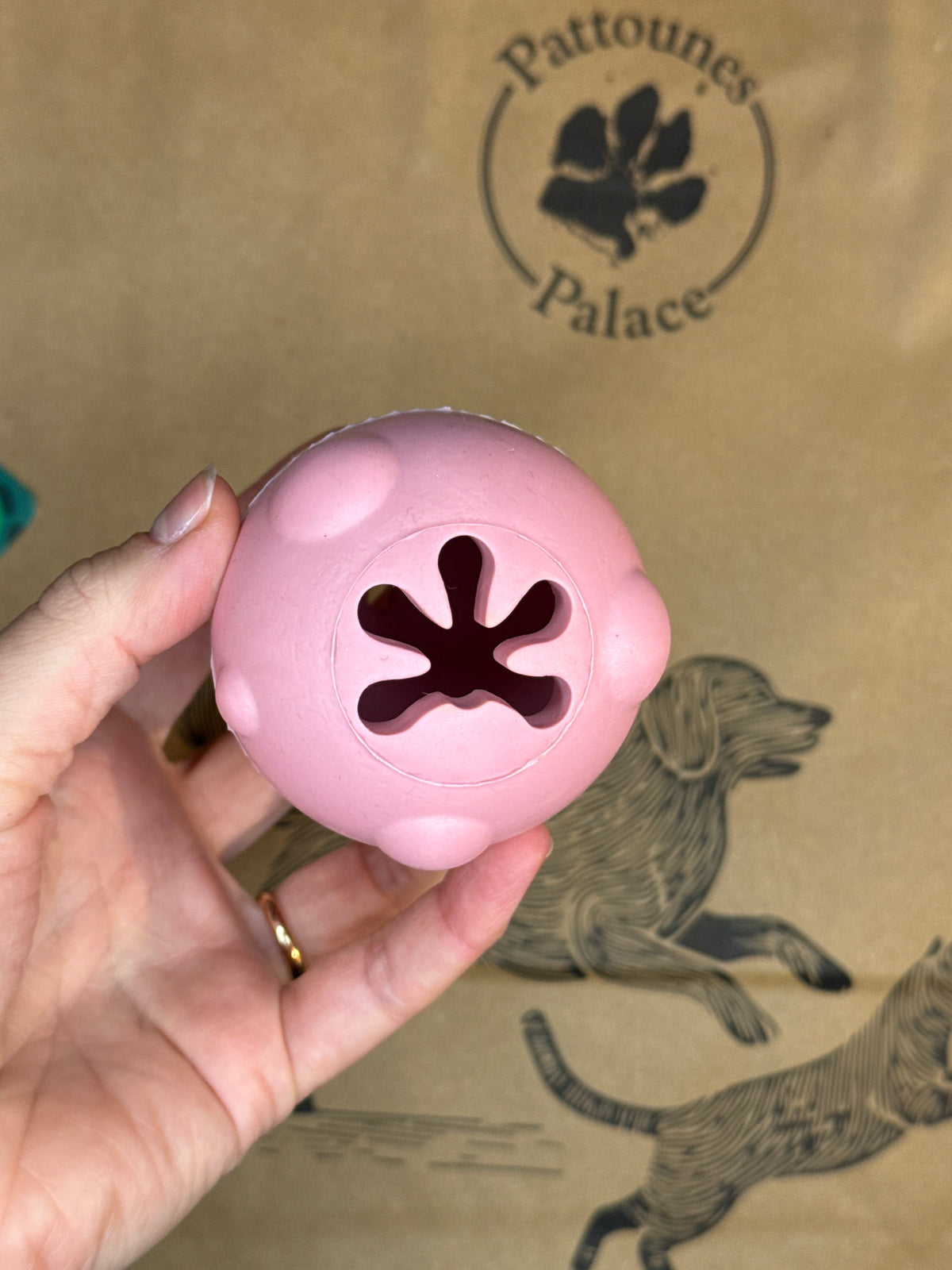 Jouet de fouille 🐶 spécial chiot « The Egg »