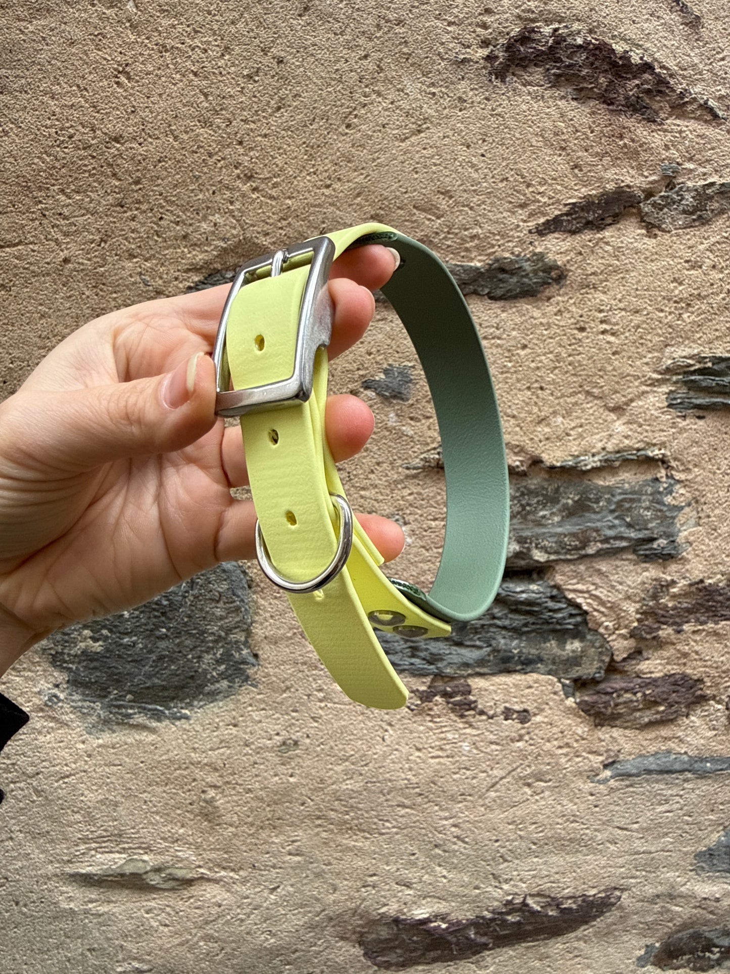 Collier Duo en Biothane-jaune pastel & vert sauge