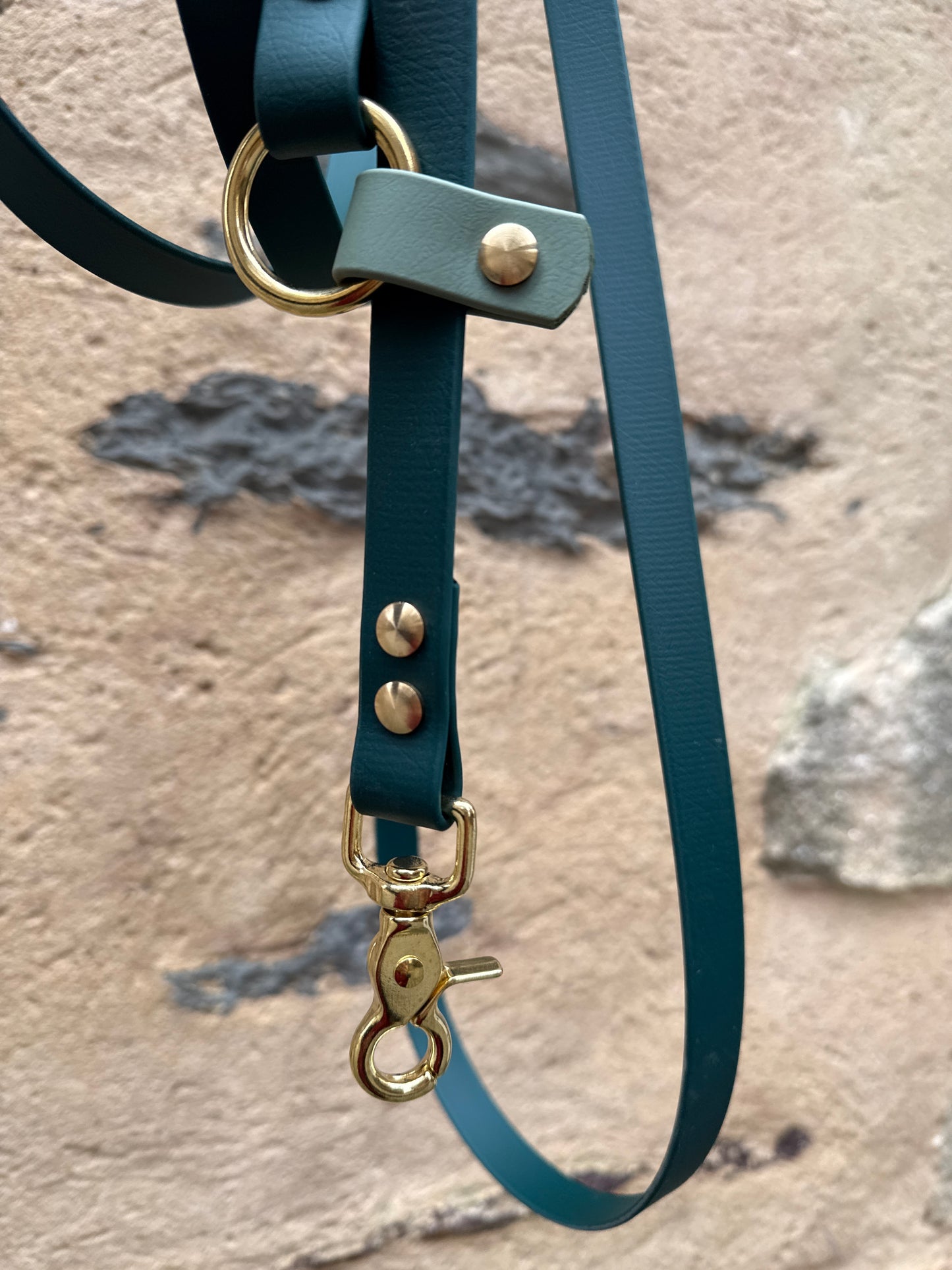 Laisse kit main libre-Biothane- vert sapin et vert sauge