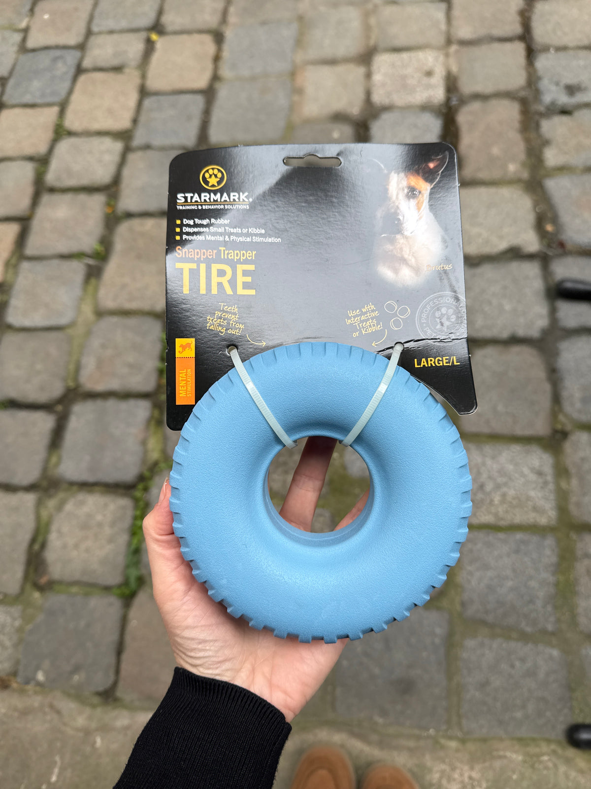 Jouet de fouille robuste « starmark »