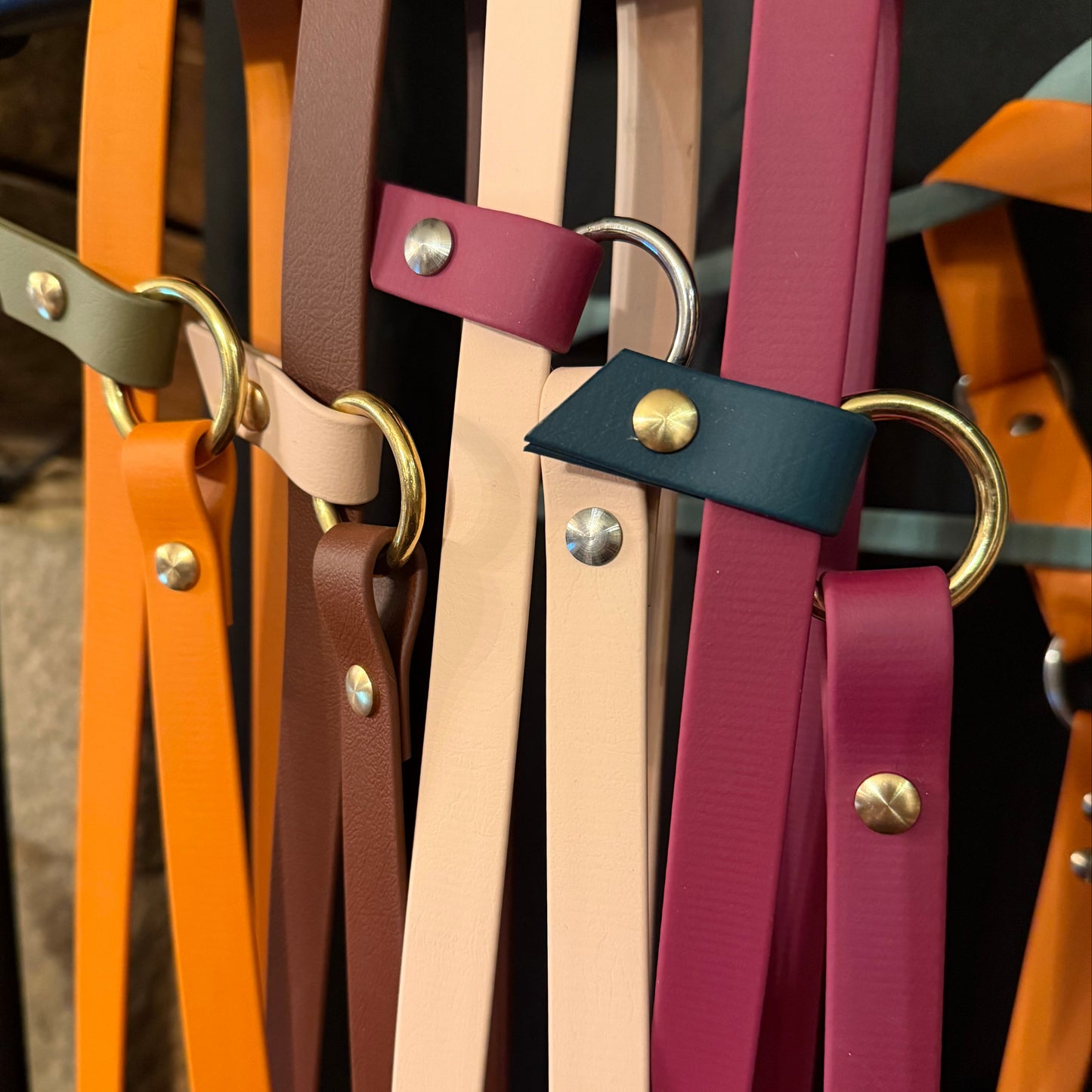 Laisse Magique coulissante multi-position 🍁