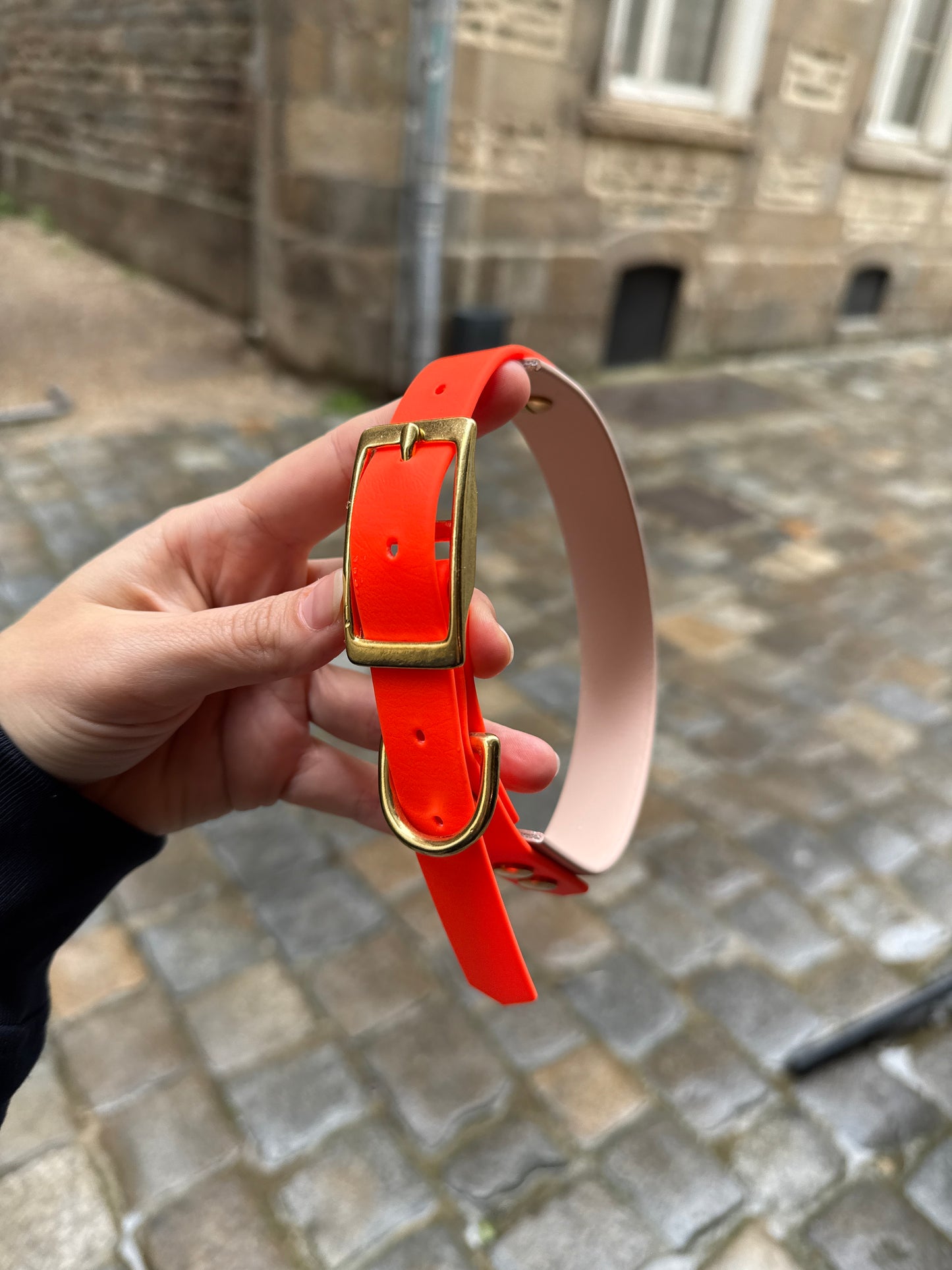 Collier Duo en Biothane🍁