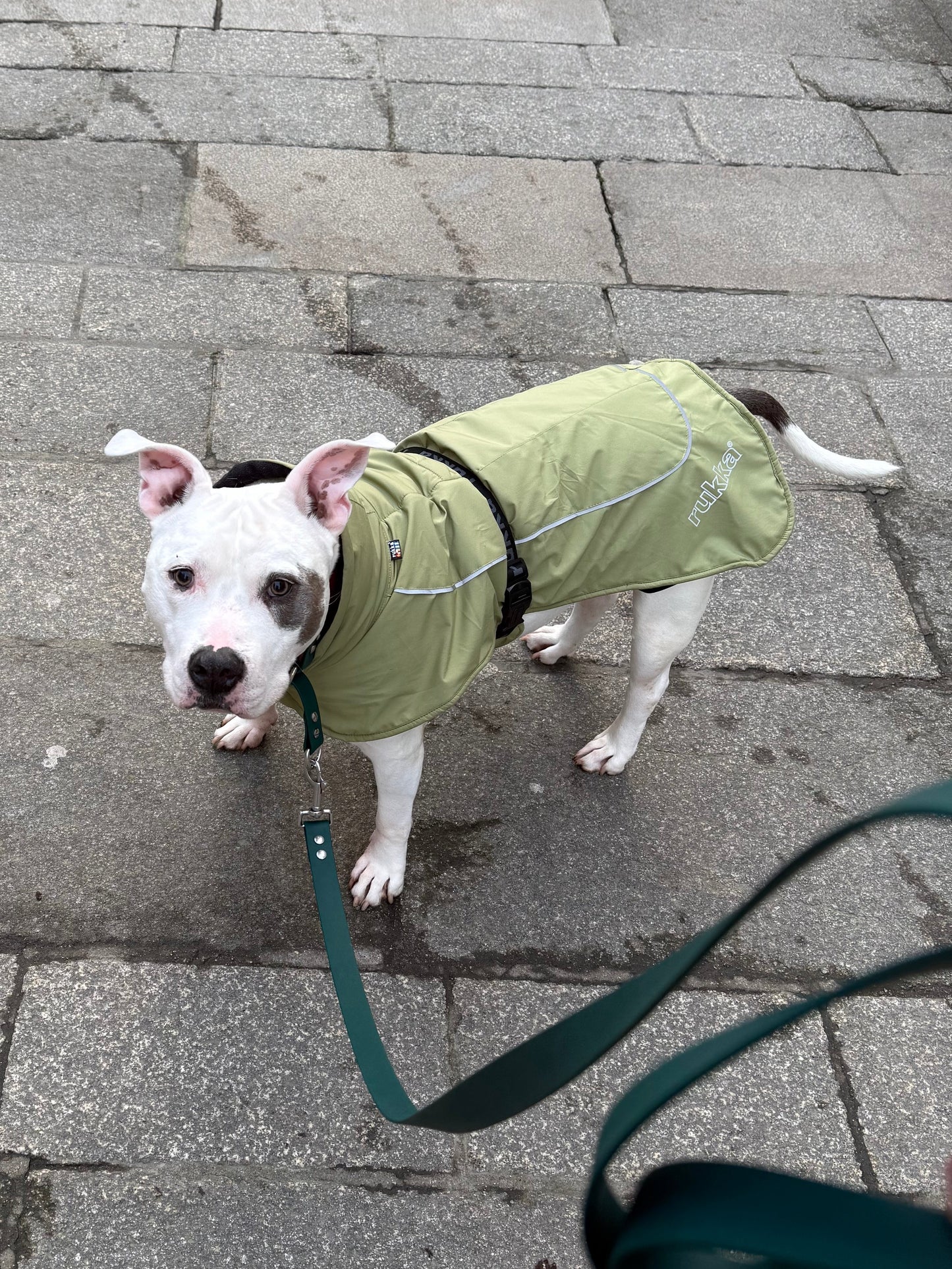 Manteau chaud - Rukka - Chien