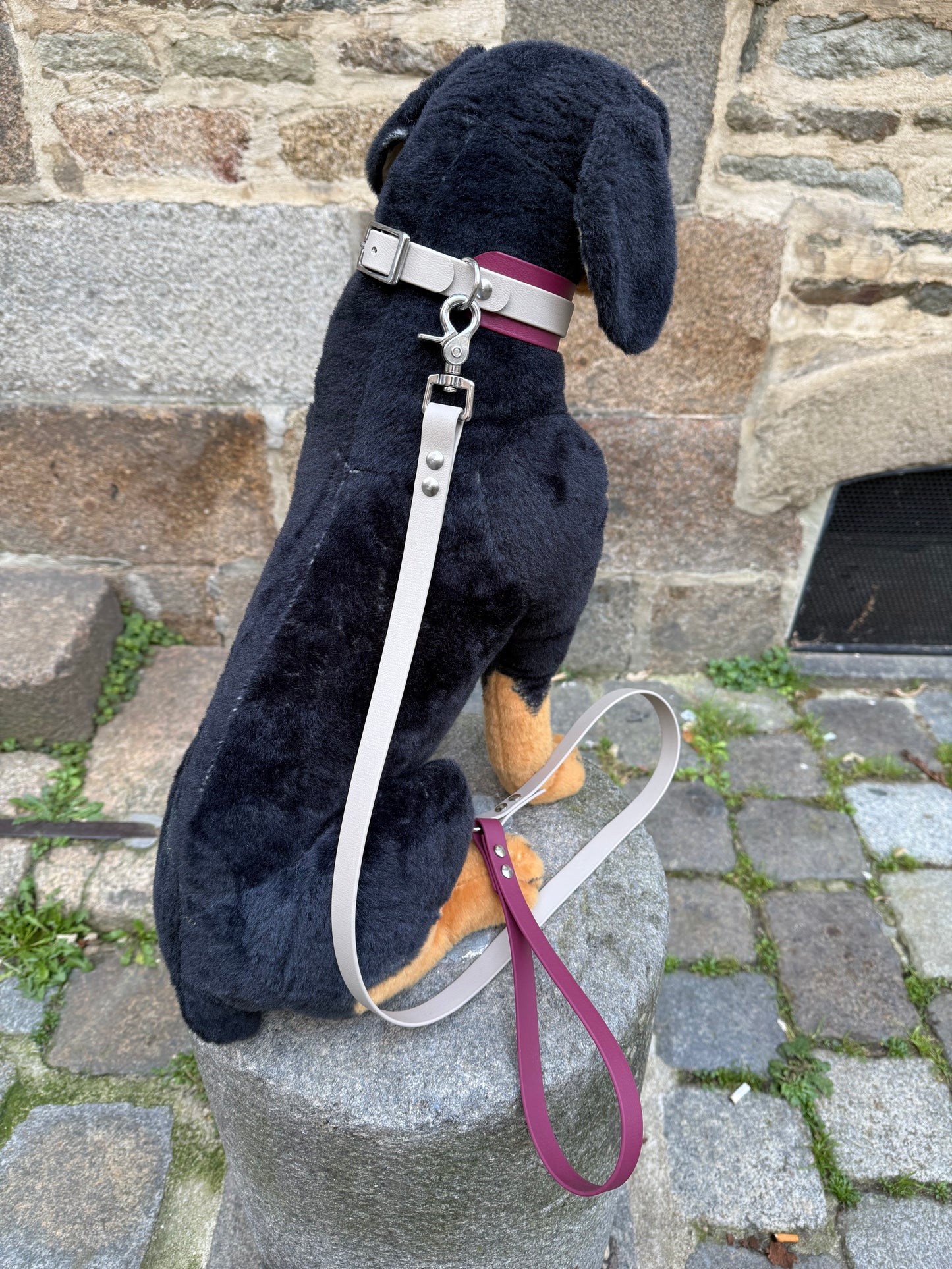 Ensemble Laisse Essentielle et Collier Taupe / Lie de Vin - Lévrier