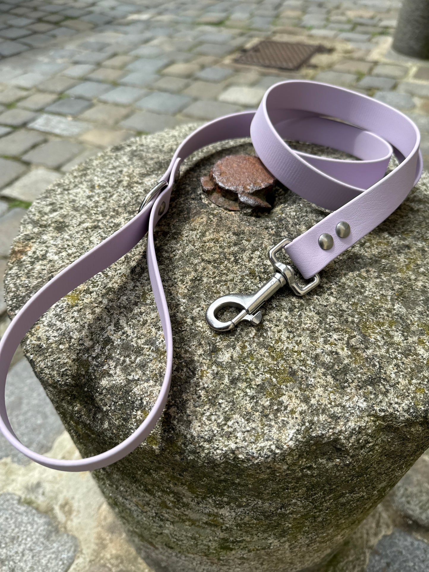 Laisse essentielle large-Biothane-Lilas