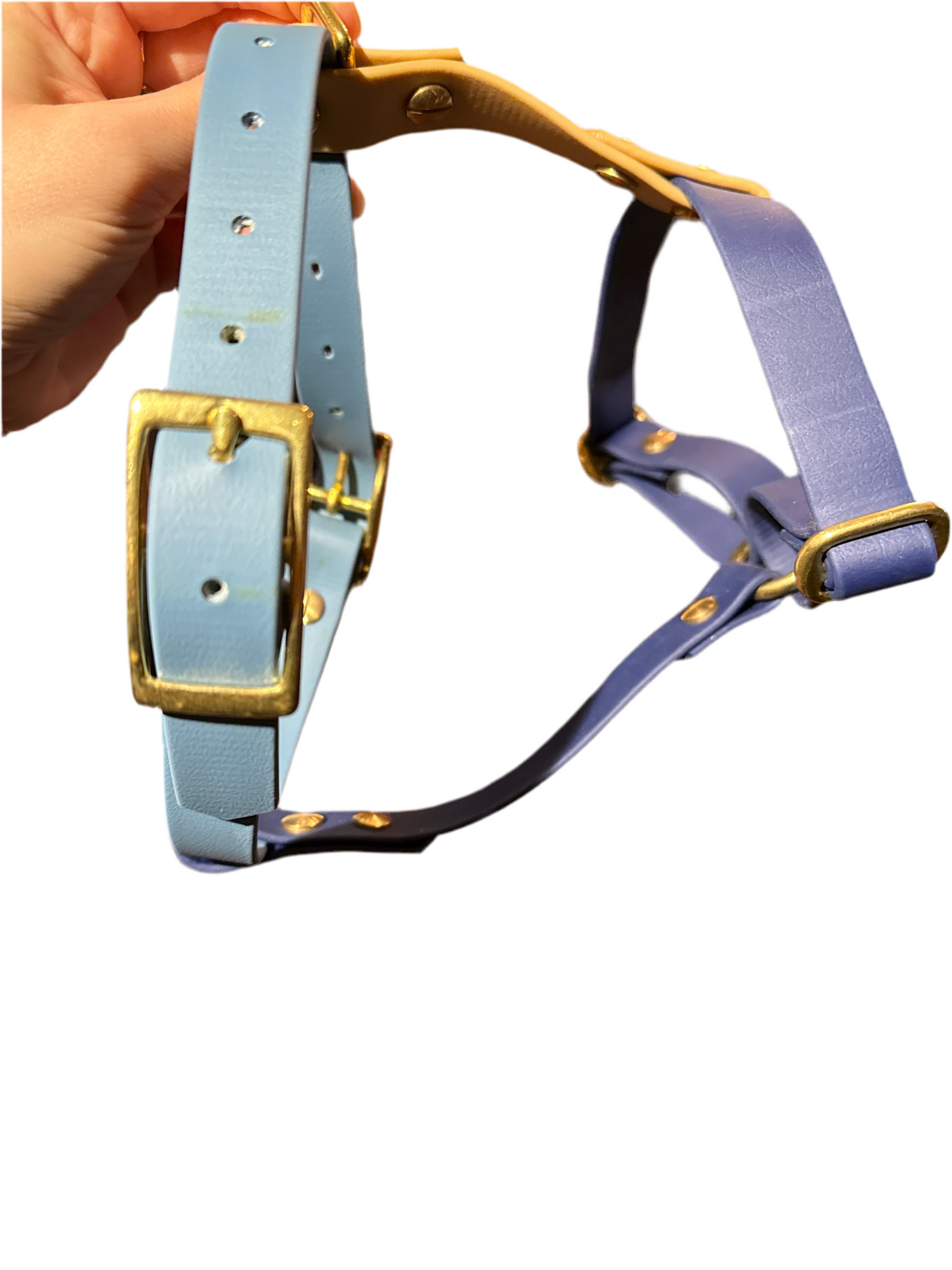 Harnais Biothane - Printemps 24