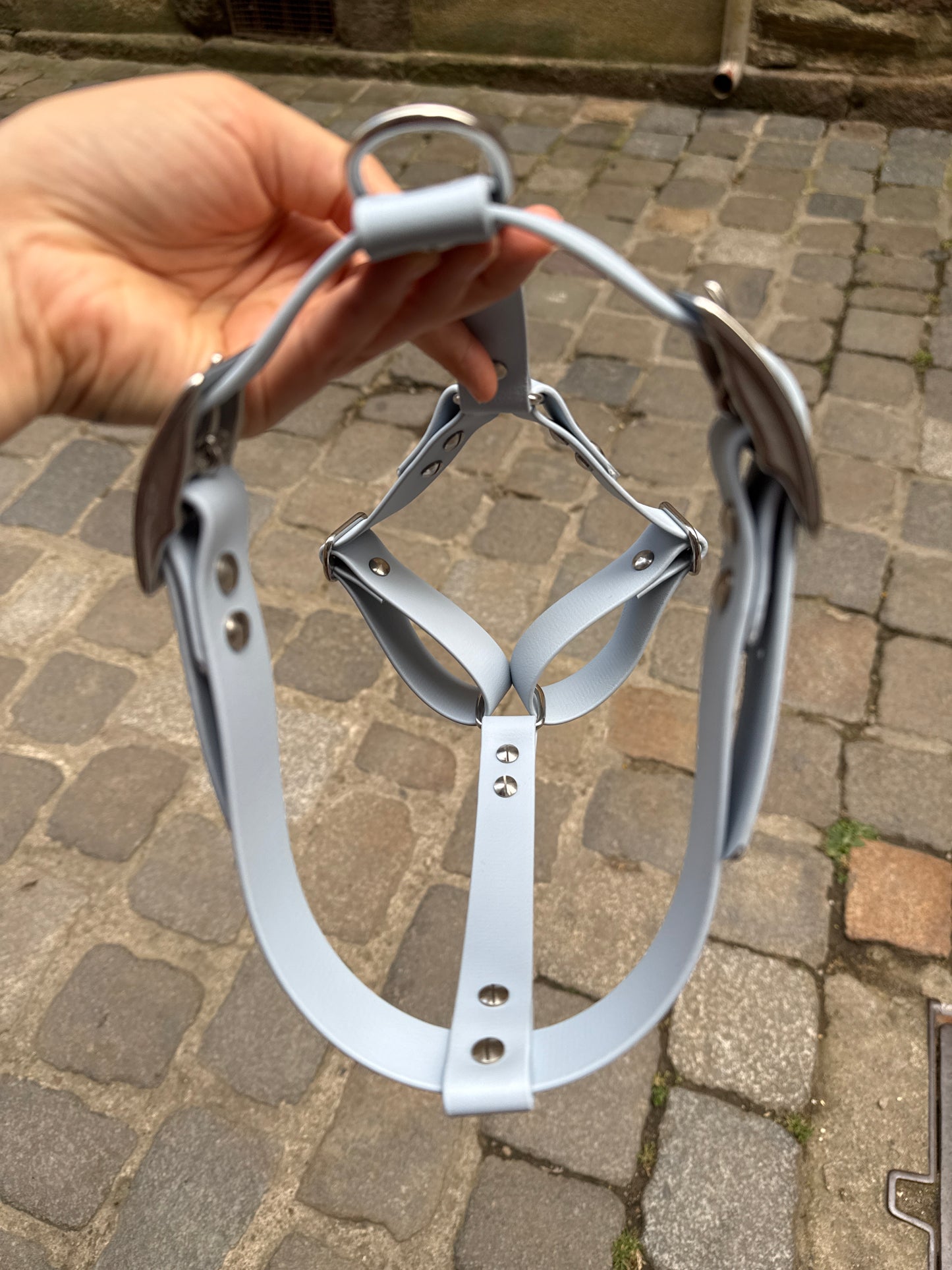 Harnais « Y » en Biothane-Bleu Pastel