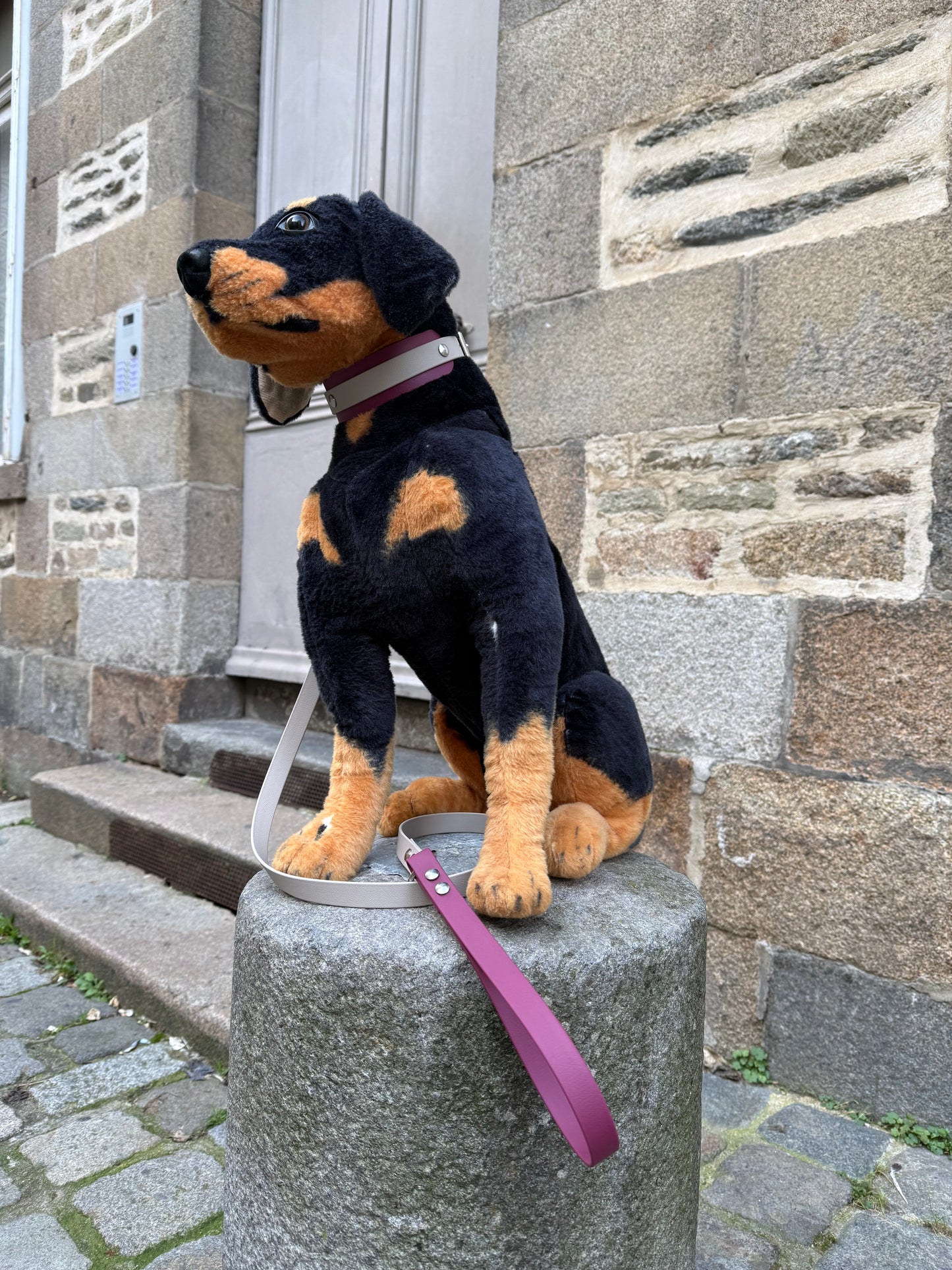 Ensemble Laisse Essentielle et Collier Taupe / Lie de Vin - Lévrier