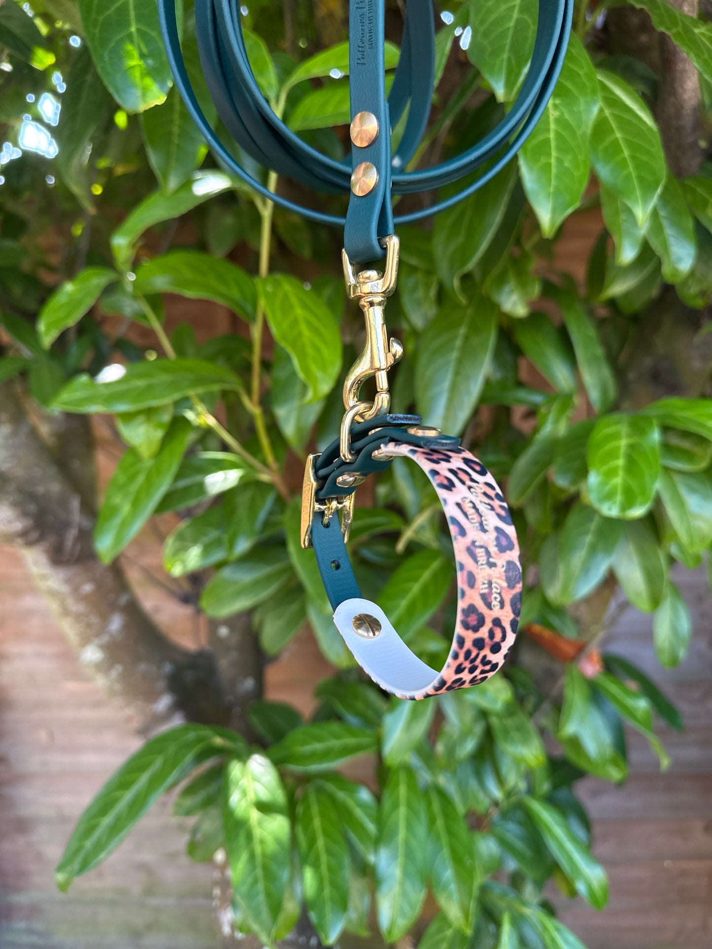 Collier Duo Mini -Biothane vert sapin & léopard