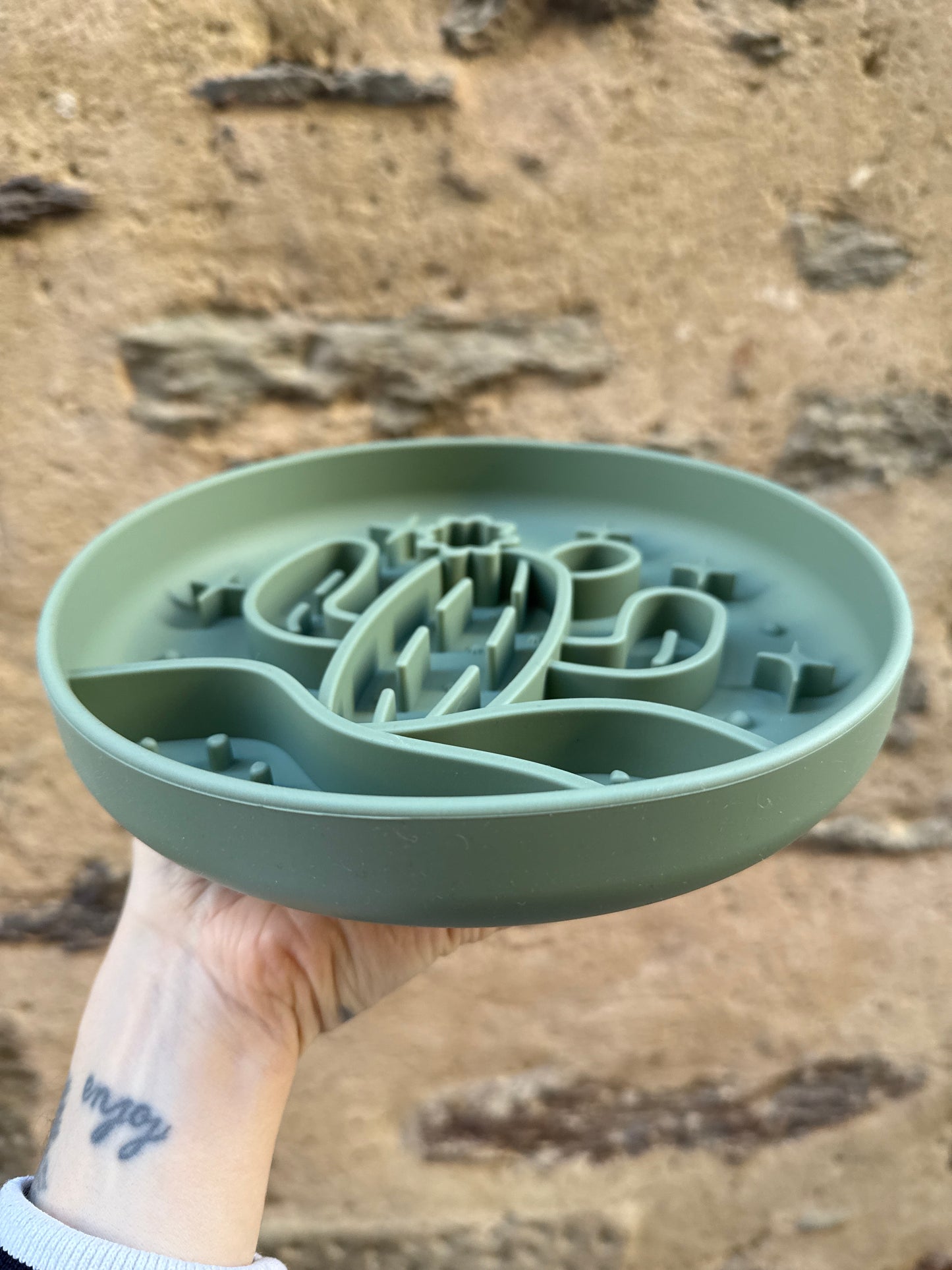 Tapis de léchage cactus