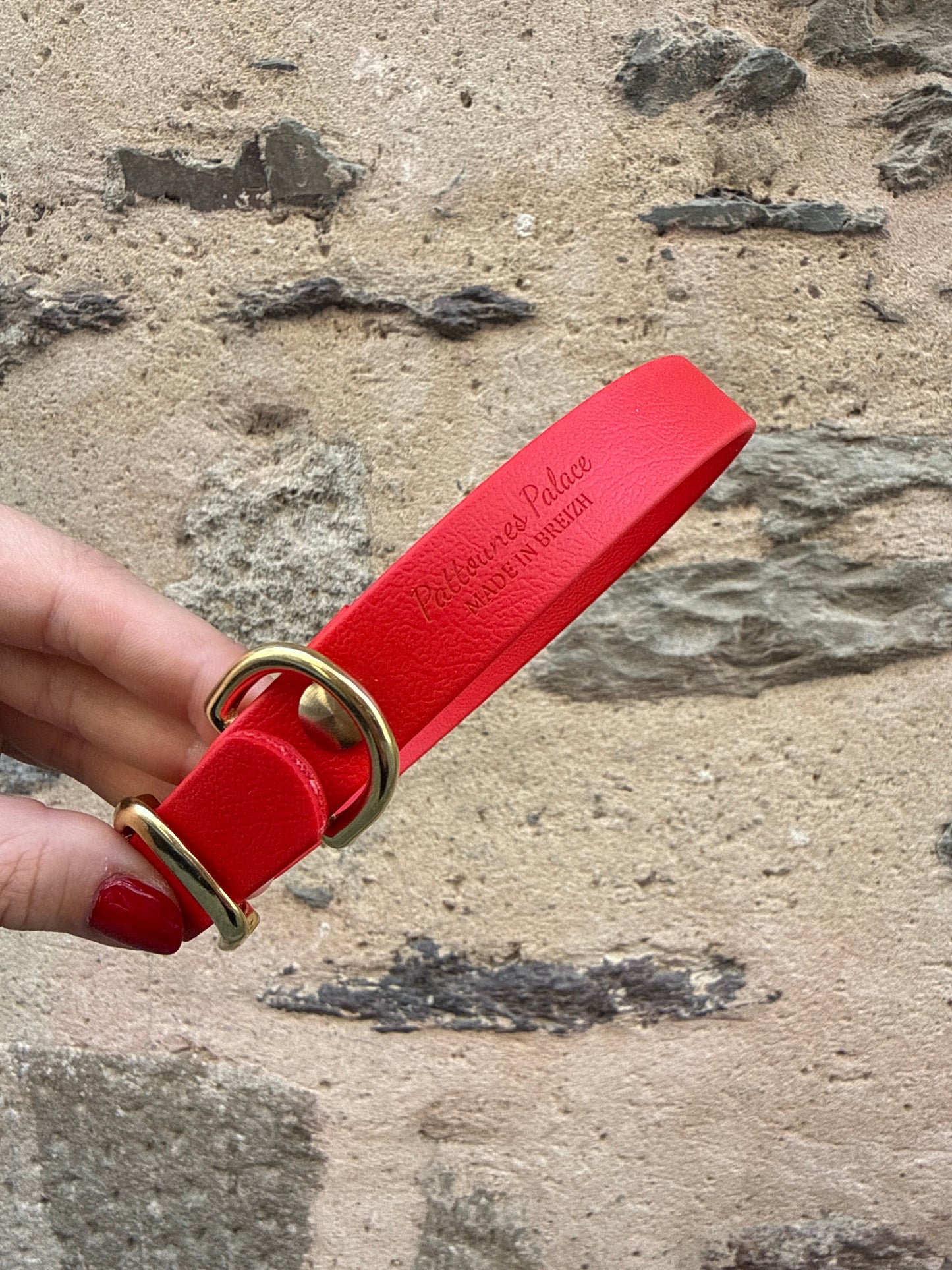 Collier pour chien évolutif -Biothane- laiton massif