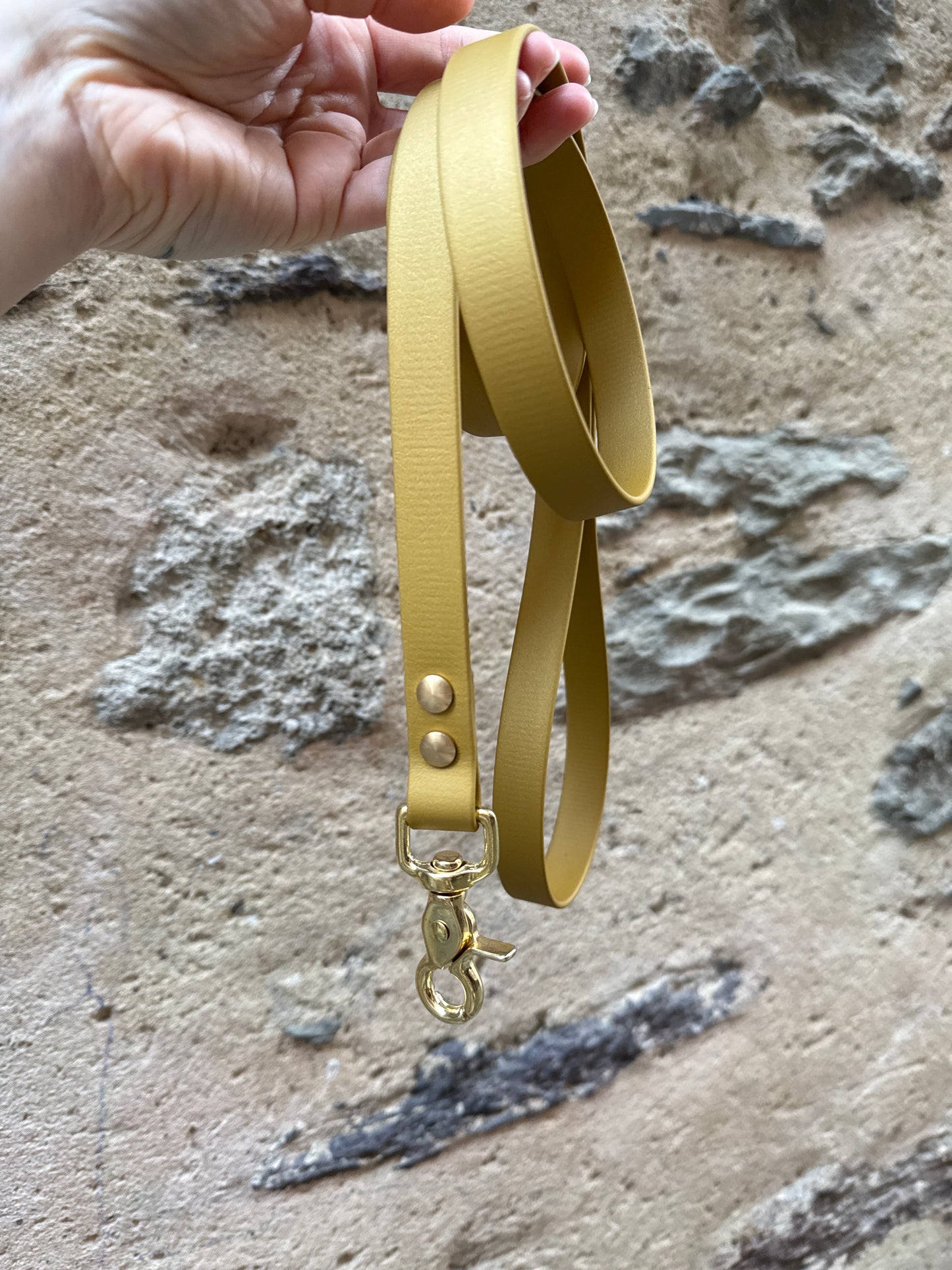 Laisse Essentielle - Edition Gold