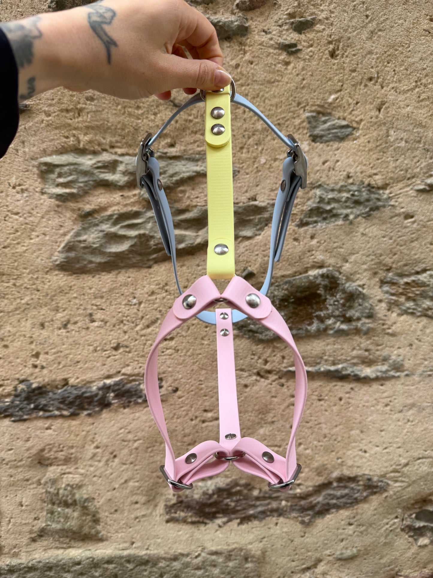 Harnais « Y » en Biothane trio Pastel