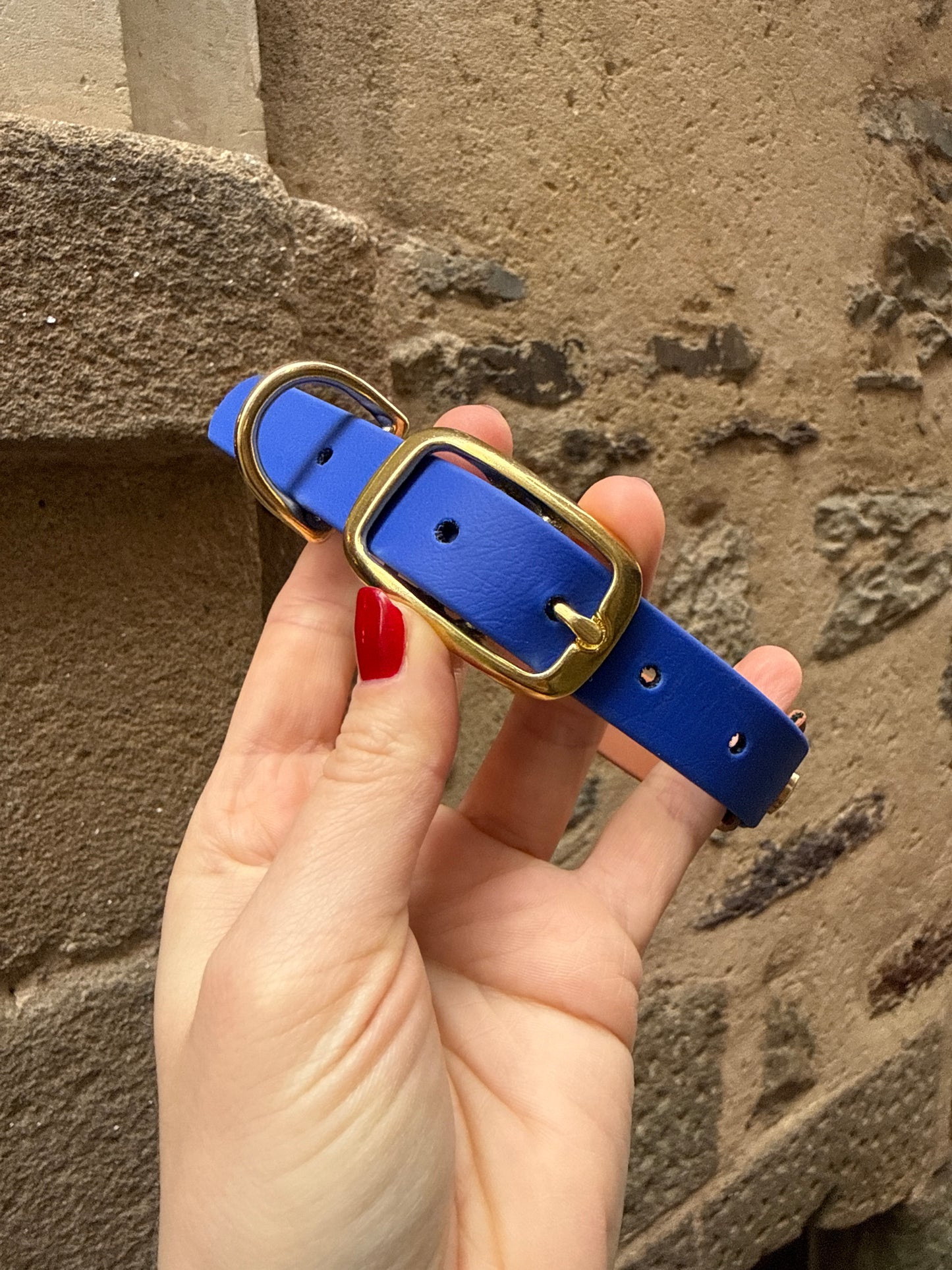 Collier Biothane - Camel & Bleu roi