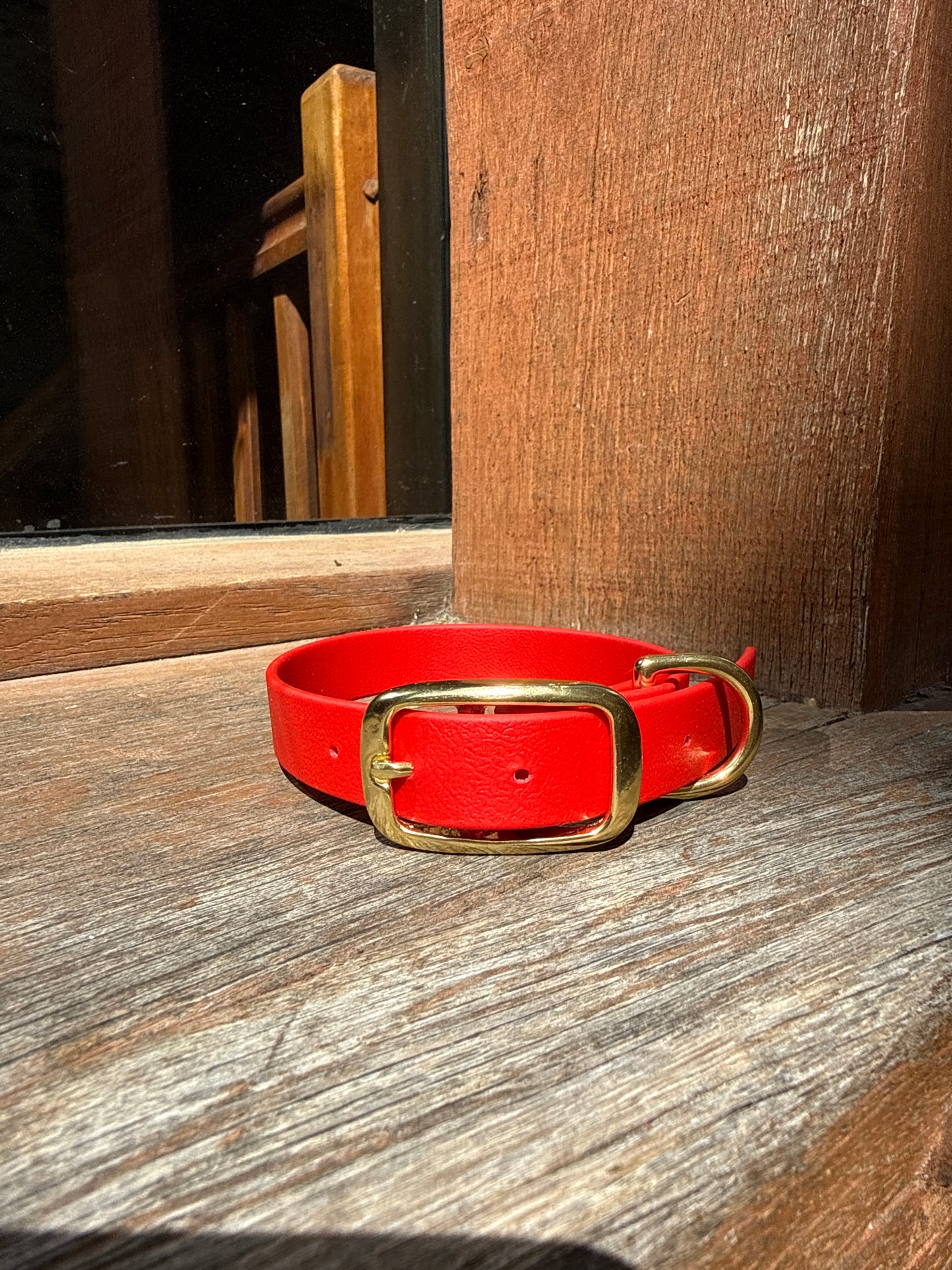 Collier pour chien évolutif -Biothane- laiton massif