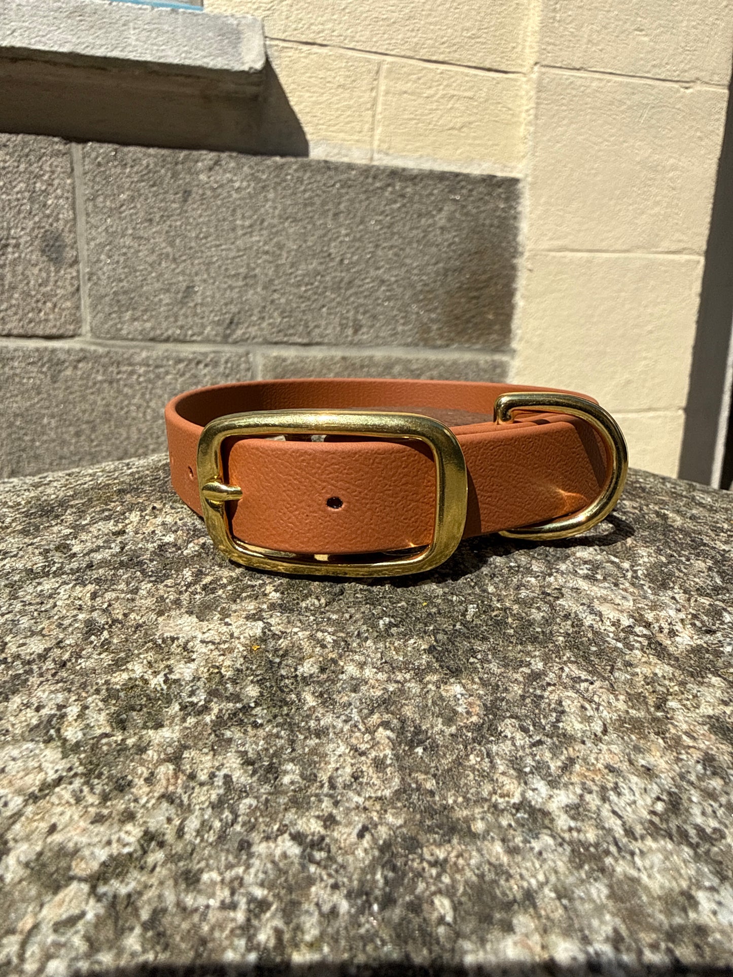 Collier pour chien évolutif -Biothane- laiton massif