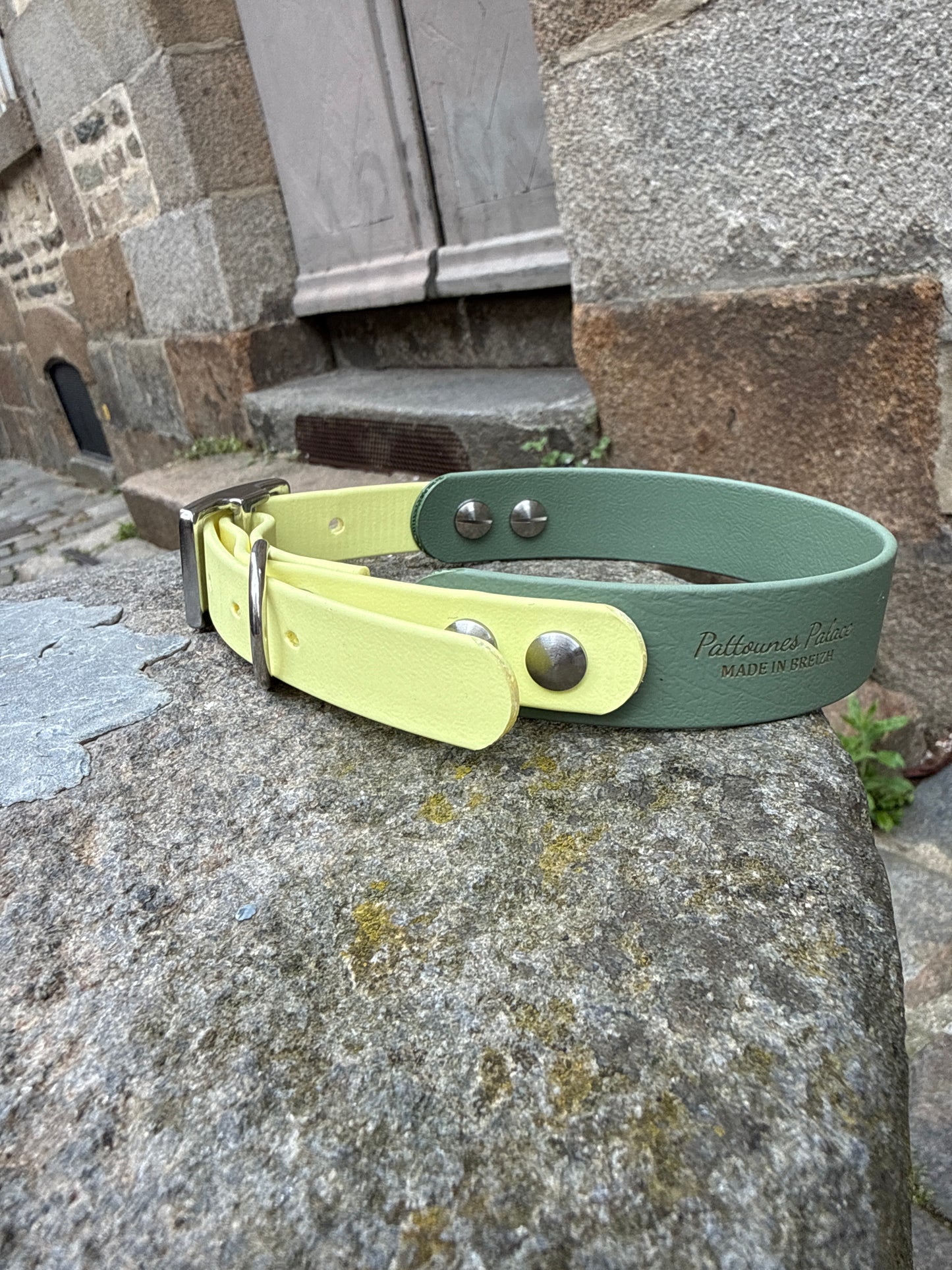 Collier Duo en Biothane-jaune pastel & vert sauge