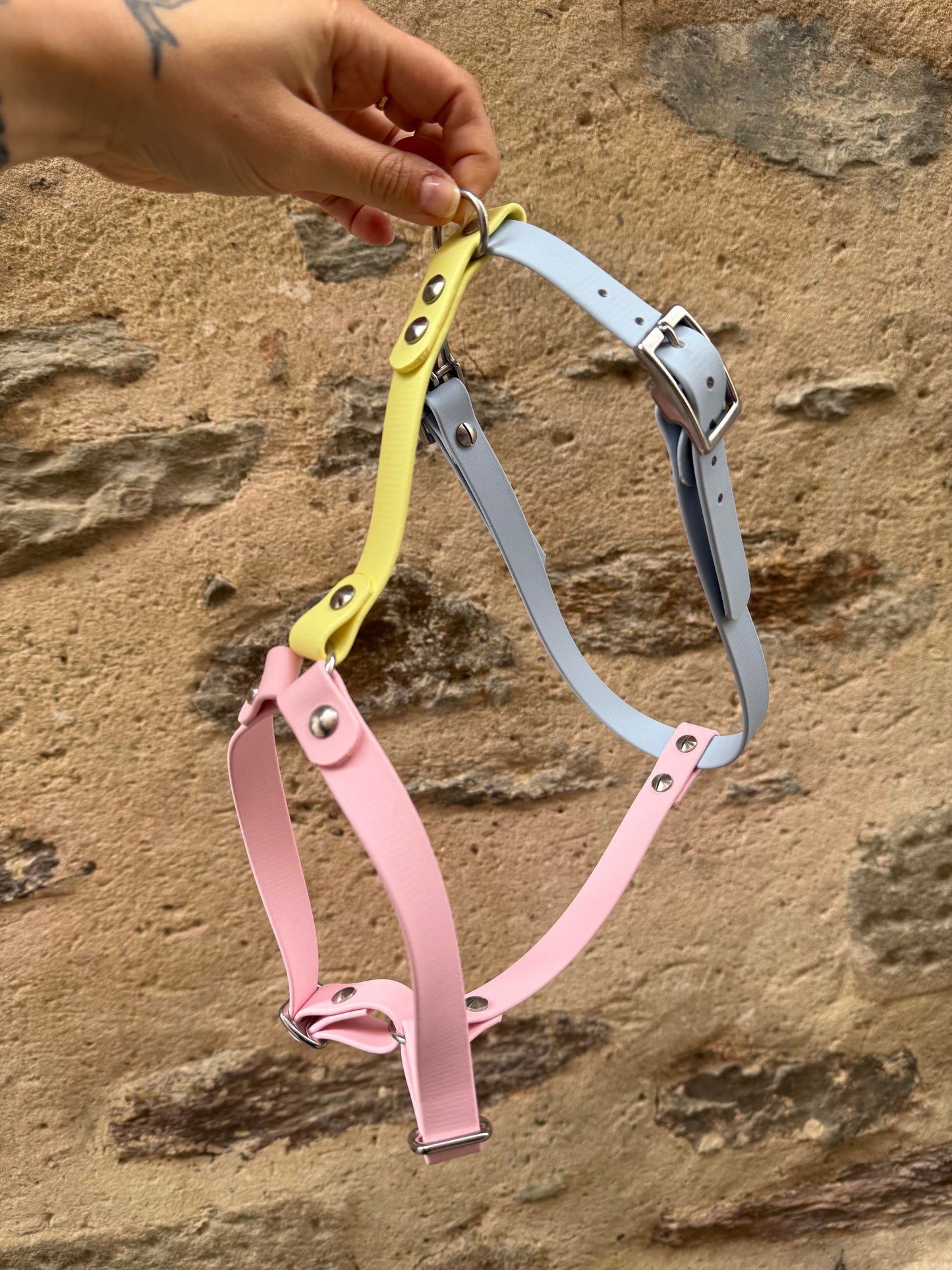 Harnais « Y » en Biothane trio Pastel