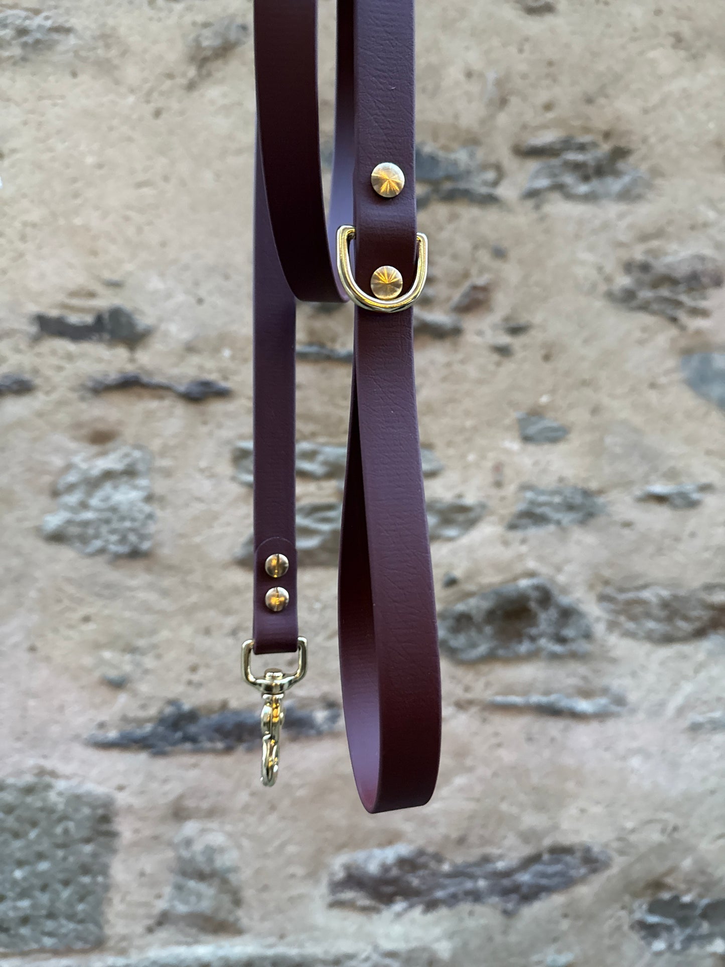 Laisse Essentielle chocolat en Biothane