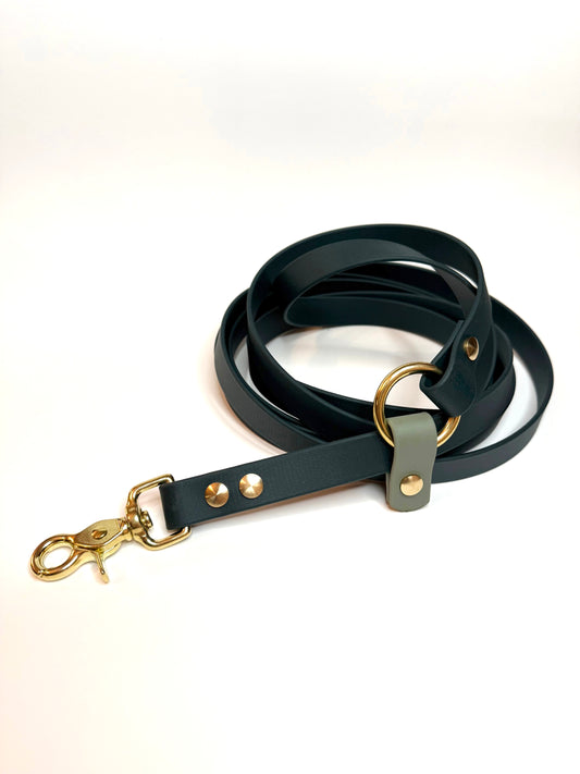 Laisse kit main libre-Biothane- vert sapin et vert sauge