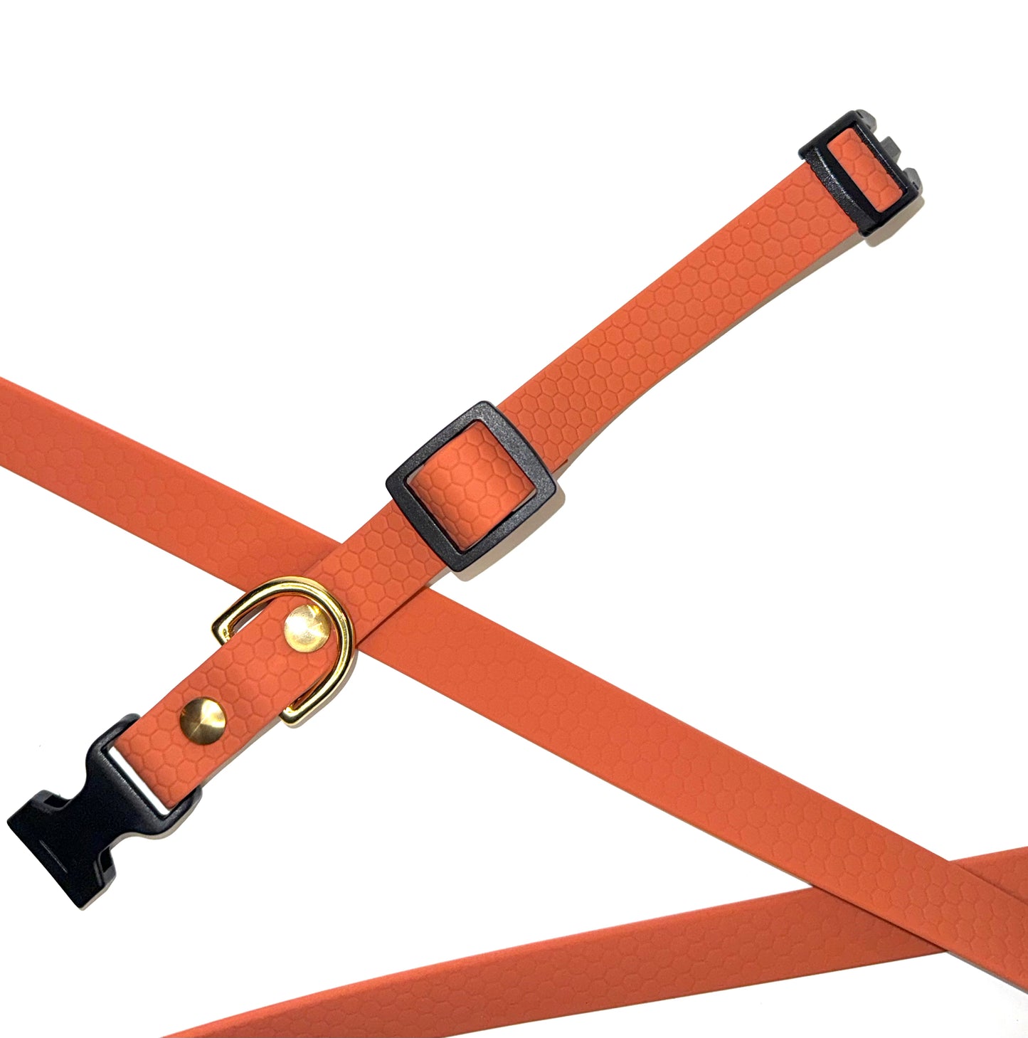 Collier Hexa XS - Spécial Chiot