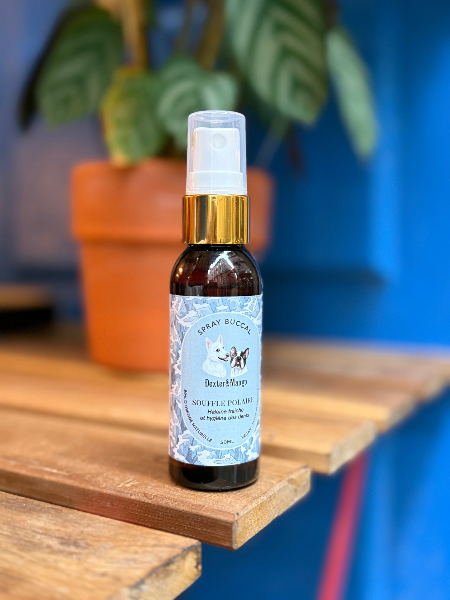 Spray buccal pour chien - Souffle Polaire, Dexter & Mango