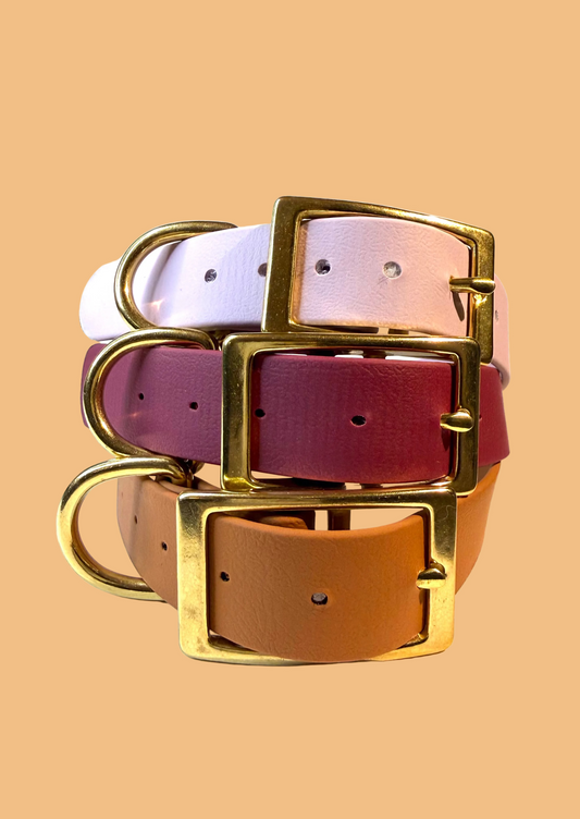 Collier essentiel évolutif 25mm -Biothane