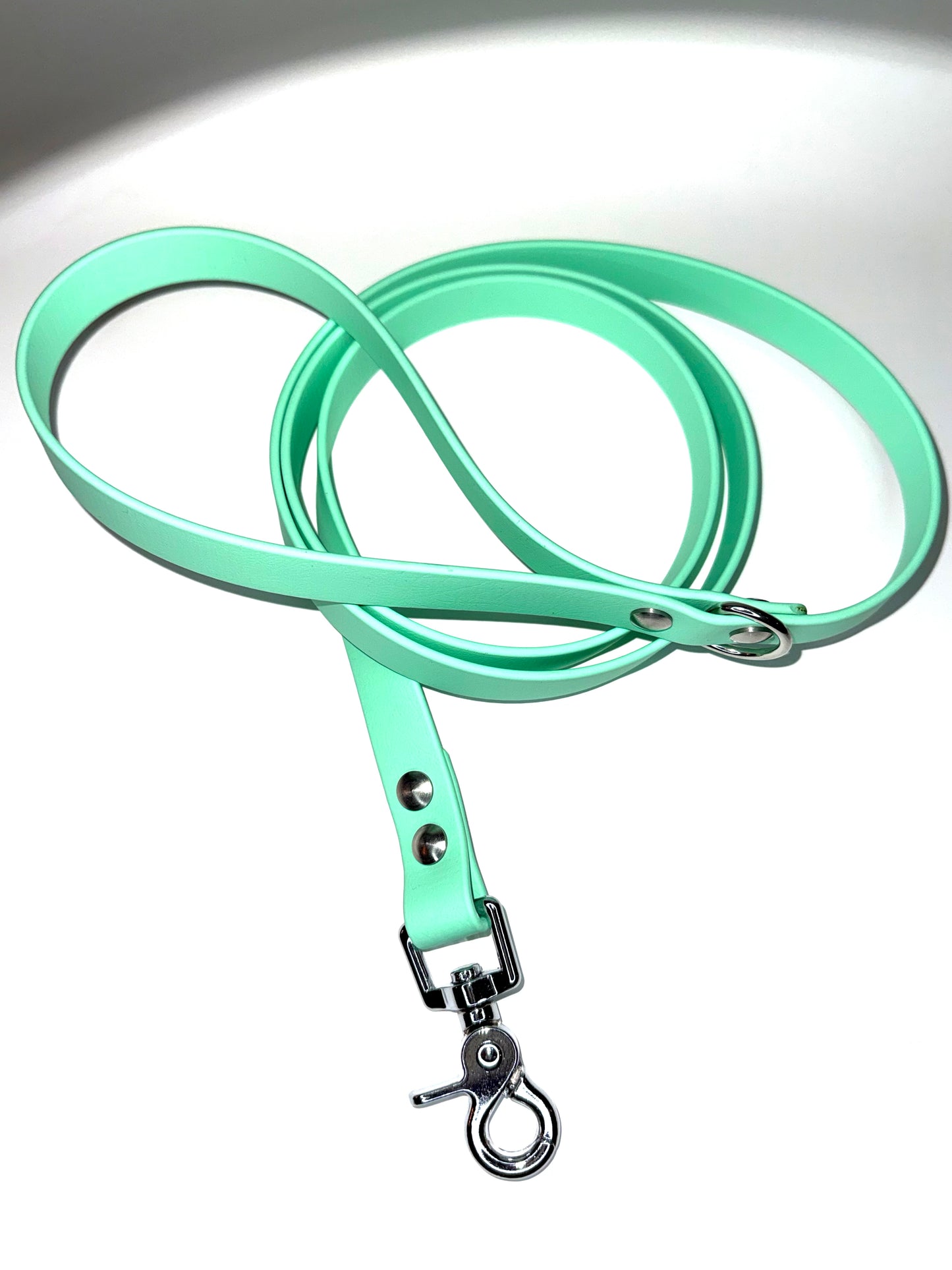 Laisse essentiel 1m50-Biothane
