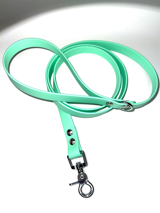 Laisse essentiel 1m50-Biothane