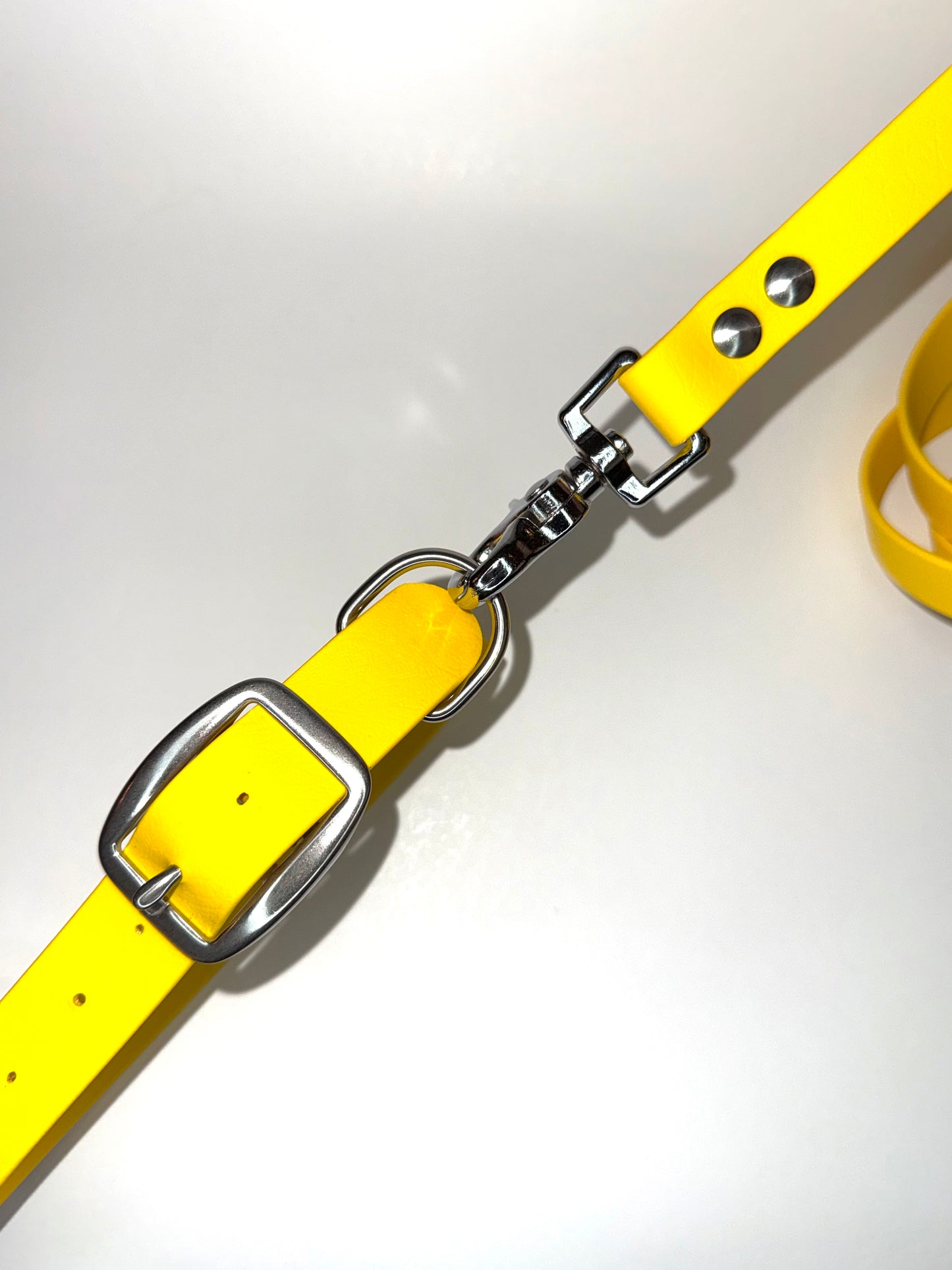 Laisse essentiel 1m50 -Biothane-