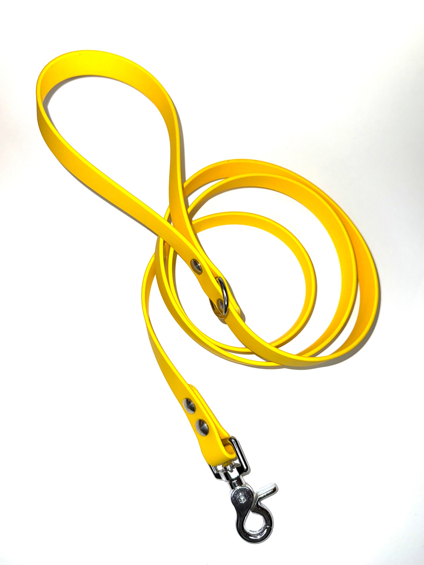 Laisse essentiel 1m50 -Biothane-