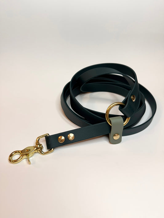 Laisse kit main libre-Biothane- vert sapin et vert sauge