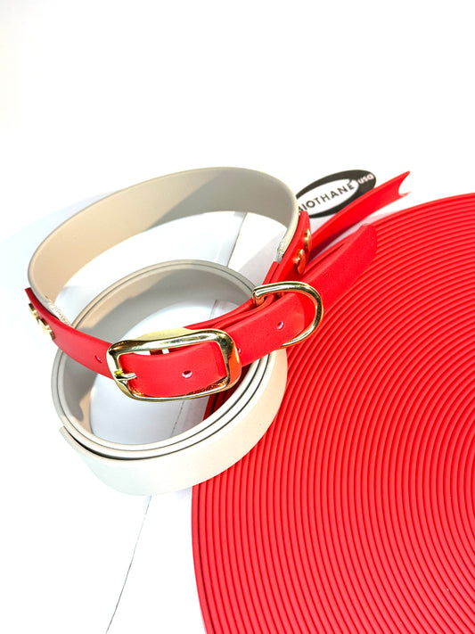Collier Duo pour chien en Biothane-waterproof-évolutif