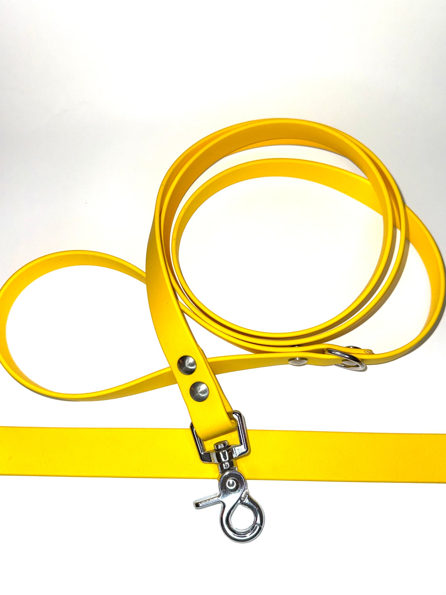 Laisse essentiel 1m50 -Biothane-