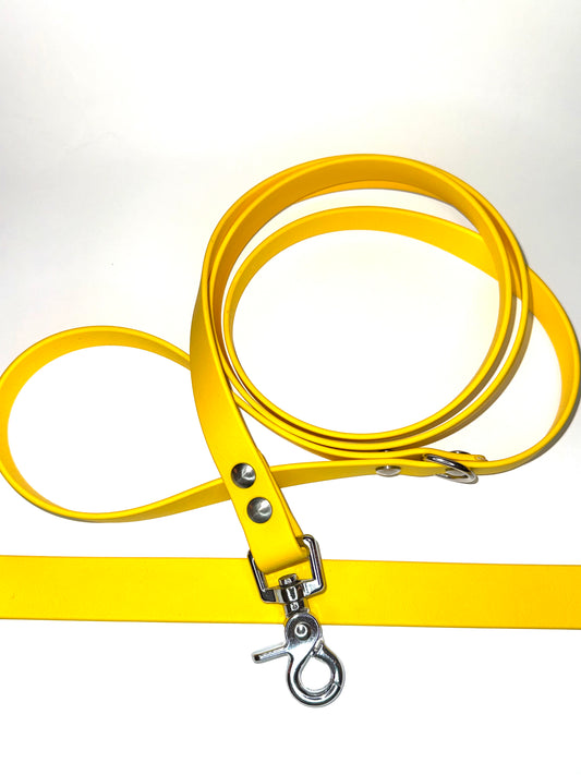 Laisse essentiel 1m50 -Biothane-