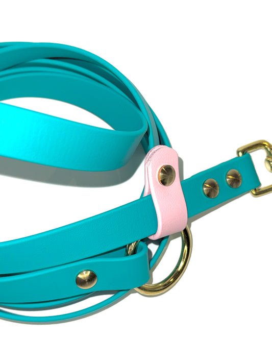 Laisse kit main libre -Biothane-