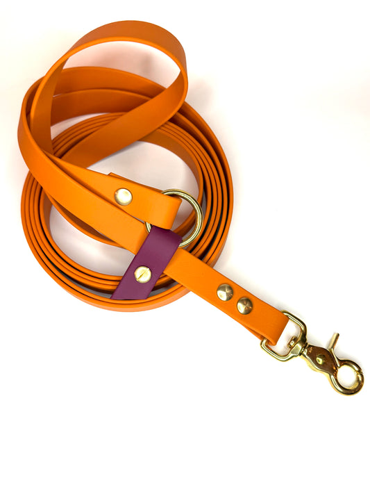 Laisse kit main libre -Biothane- multiple position