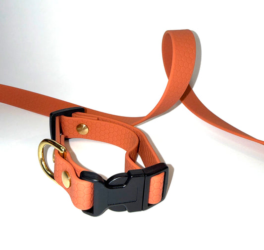 Collier Hexa XS - Spécial Chiot