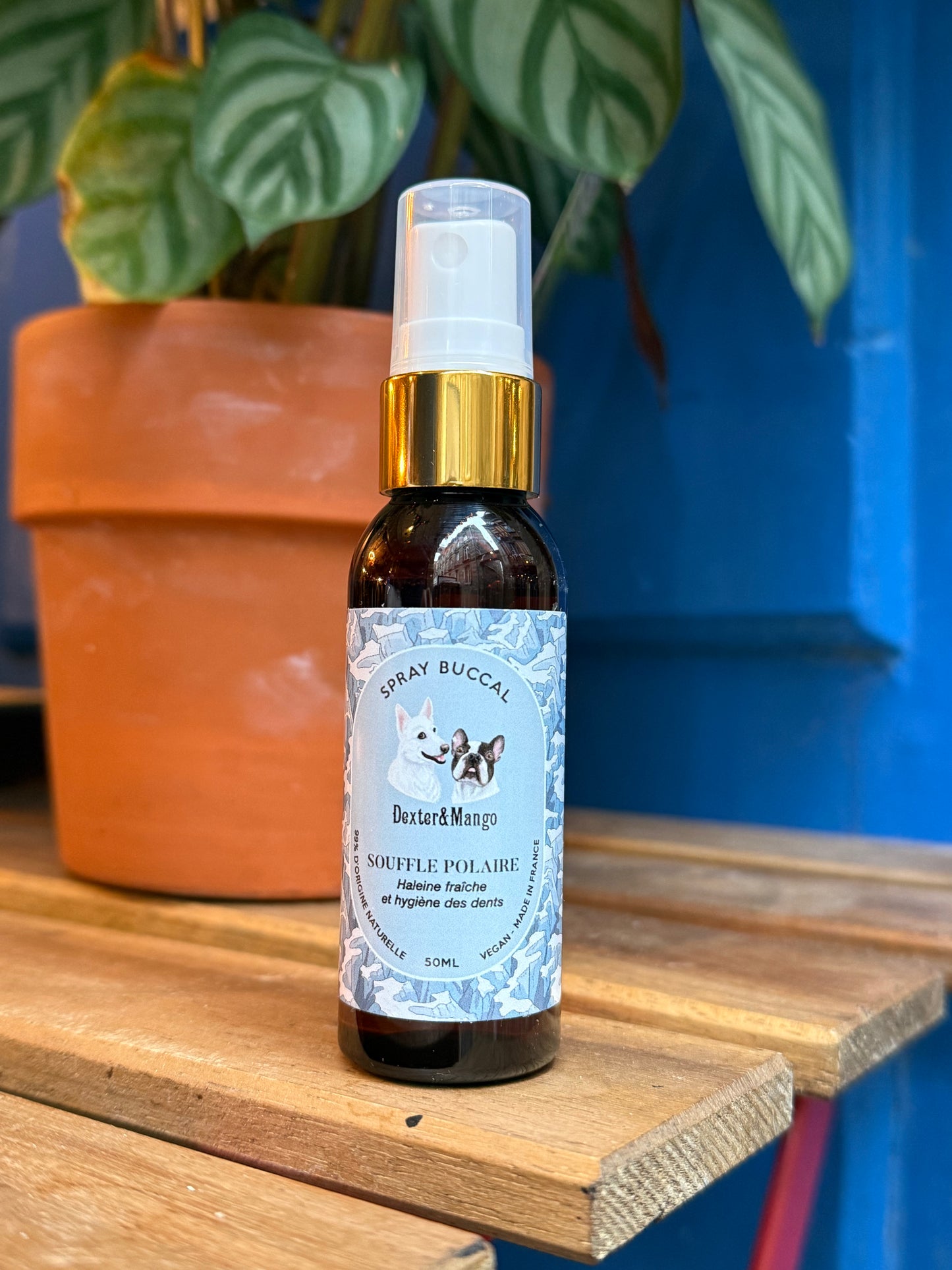 Spray buccal pour chien - Souffle Polaire, Dexter & Mango