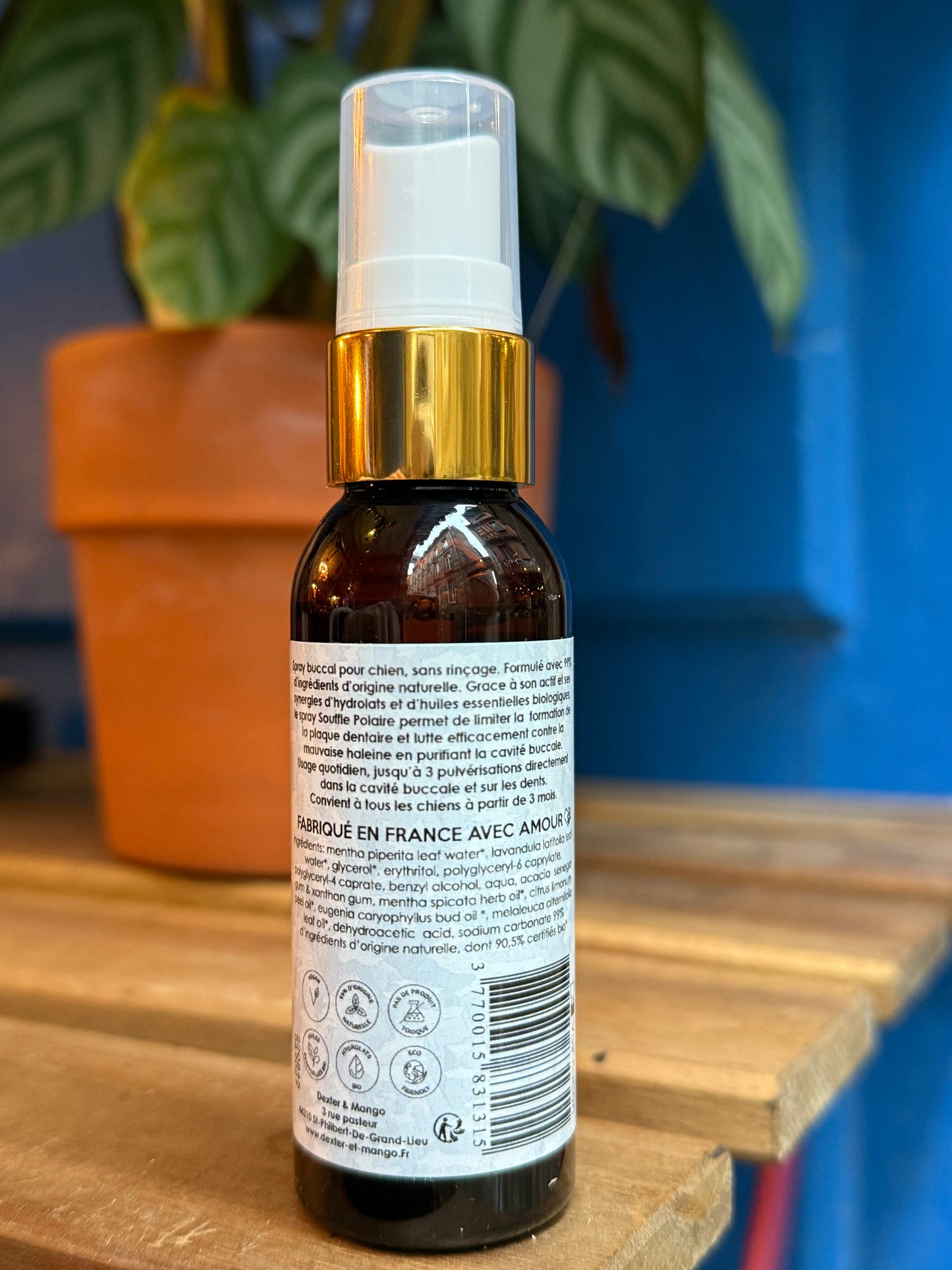 Spray buccal pour chien - Souffle Polaire, Dexter & Mango