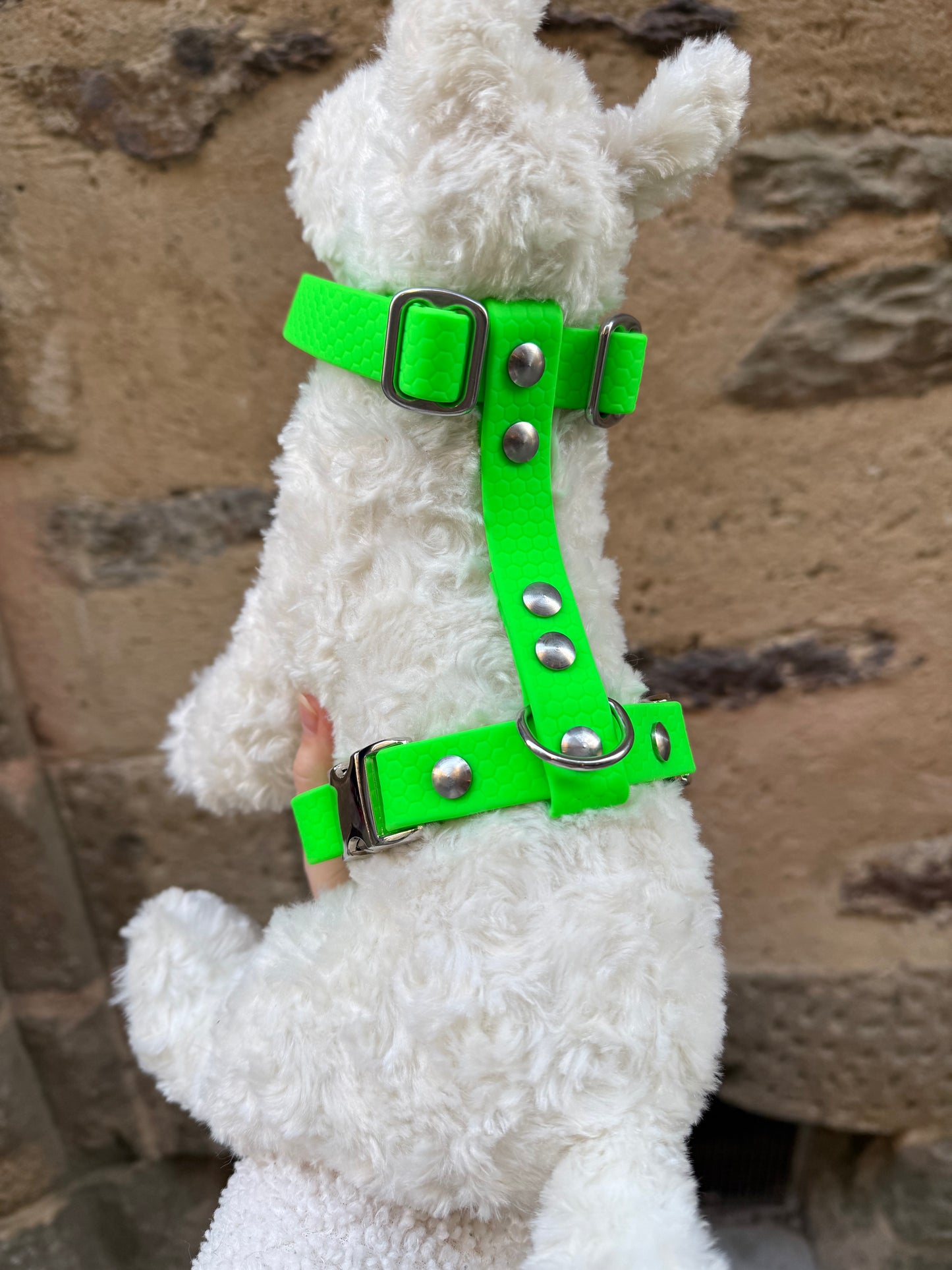 Harnais waterproof pour chien