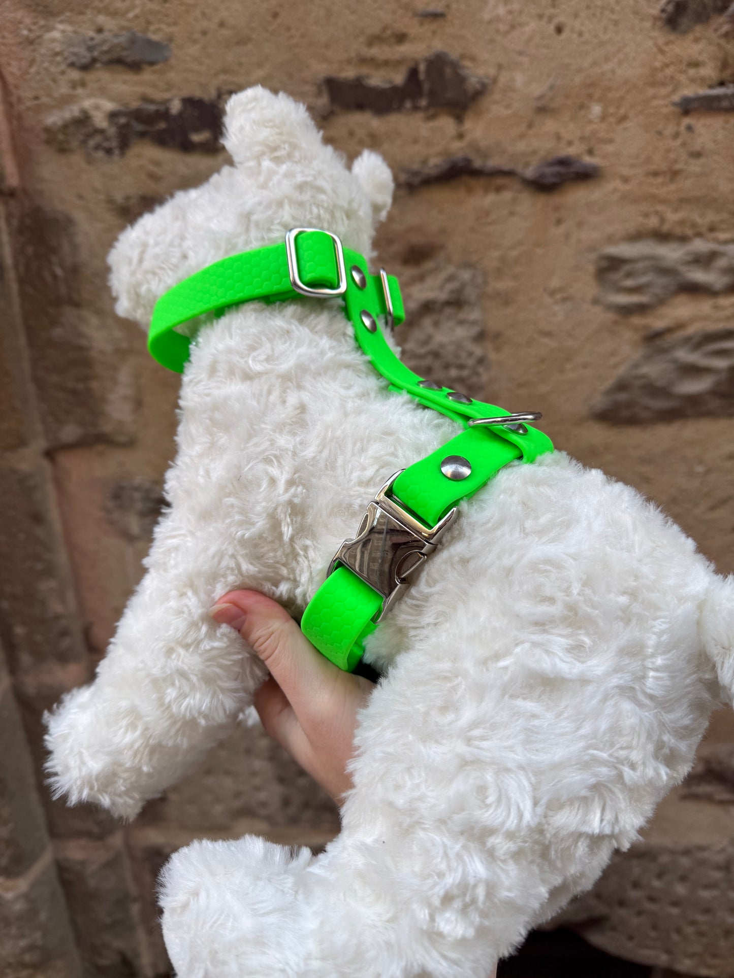 Harnais waterproof pour chien