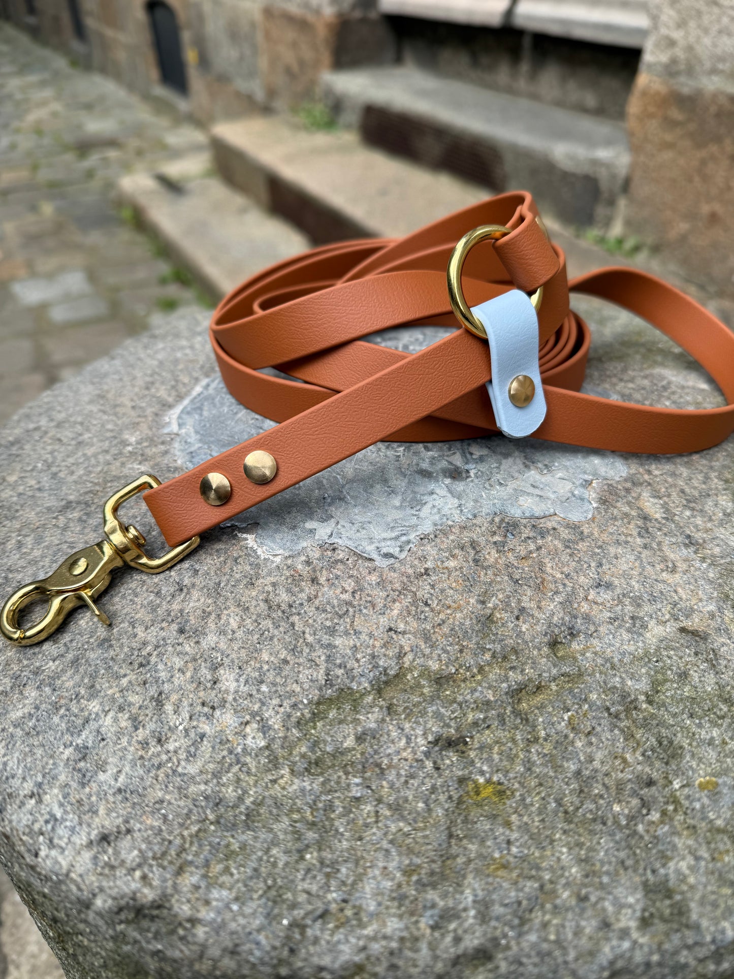 Laisse kit main libre - Biothane - camel et bleu ciel