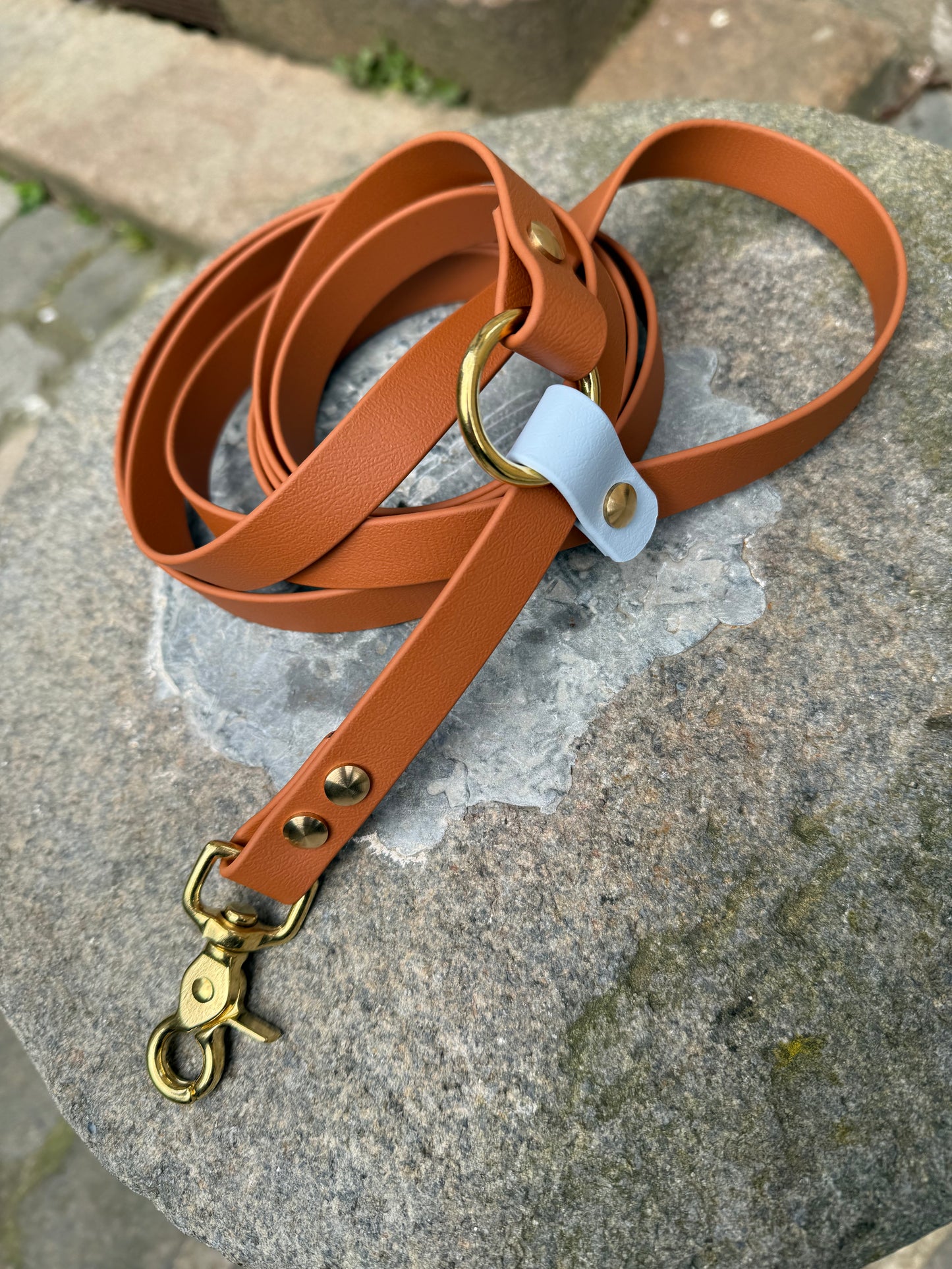 Laisse kit main libre - Biothane - camel et bleu ciel