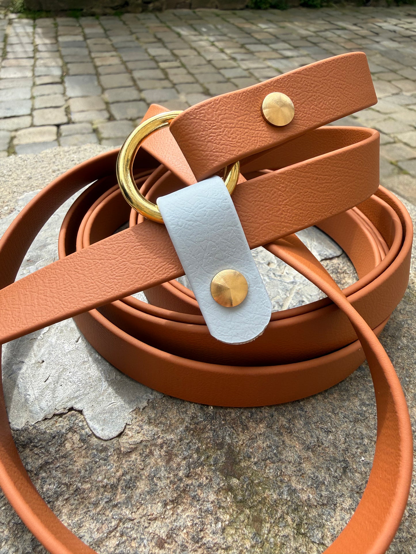 Laisse kit main libre - Biothane - camel et bleu ciel