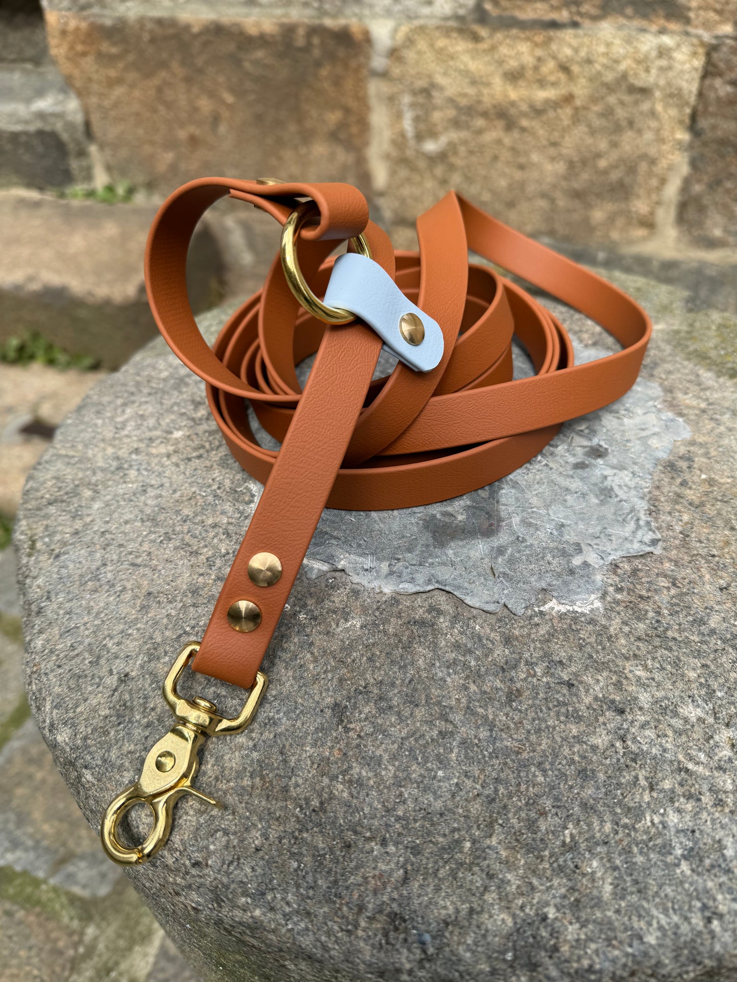 Laisse kit main libre - Biothane - camel et bleu ciel