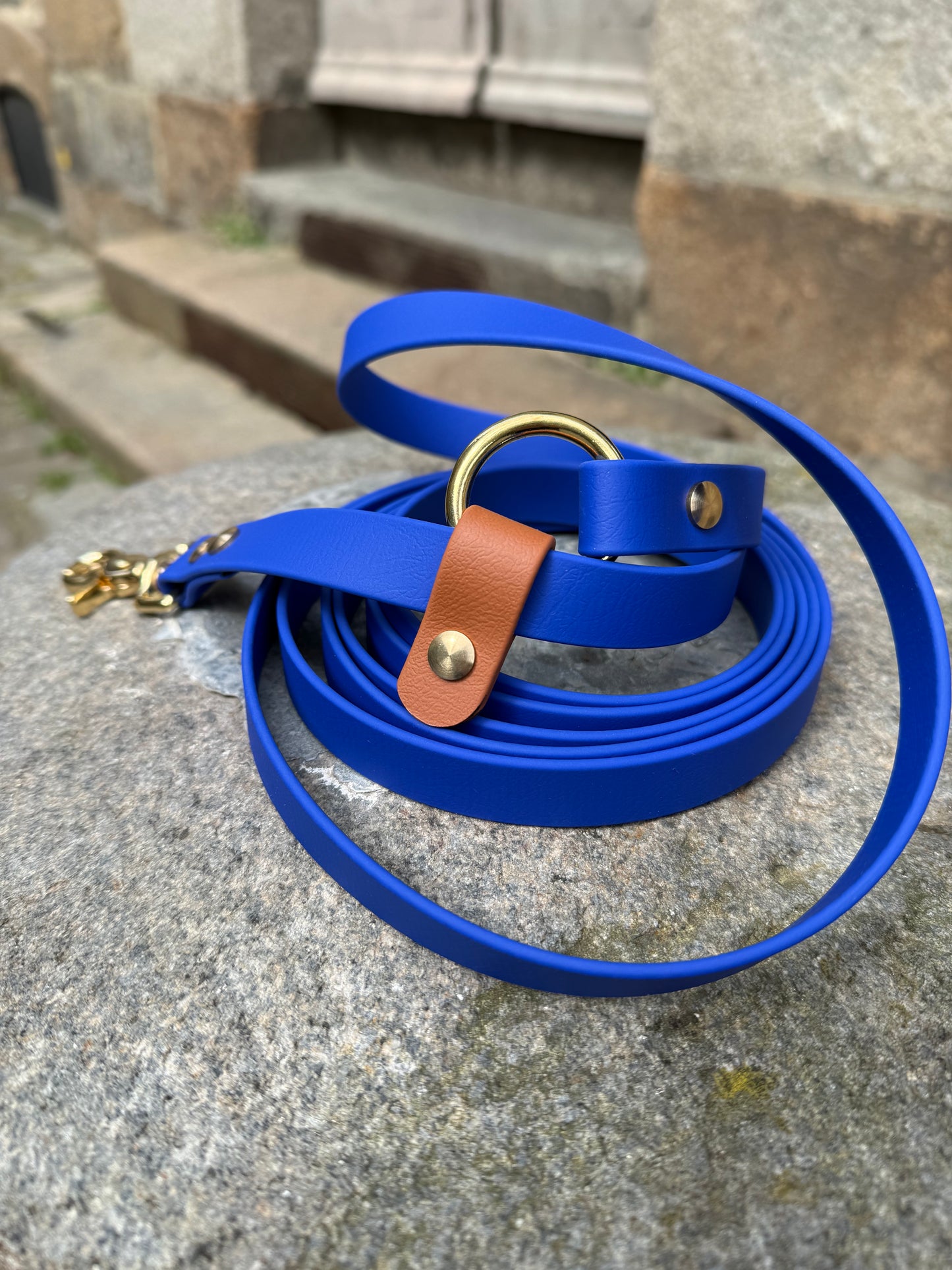 Laisse kit main libre -Biothane- bleu roi et camel